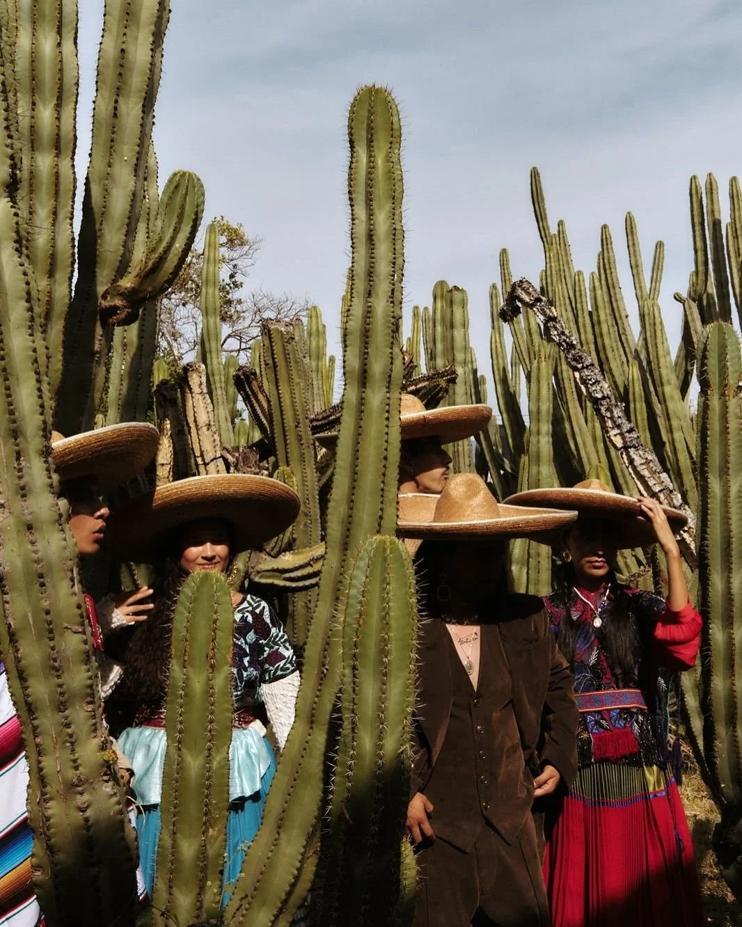 Cactus géants et traditions locales dans le désert mexicain
