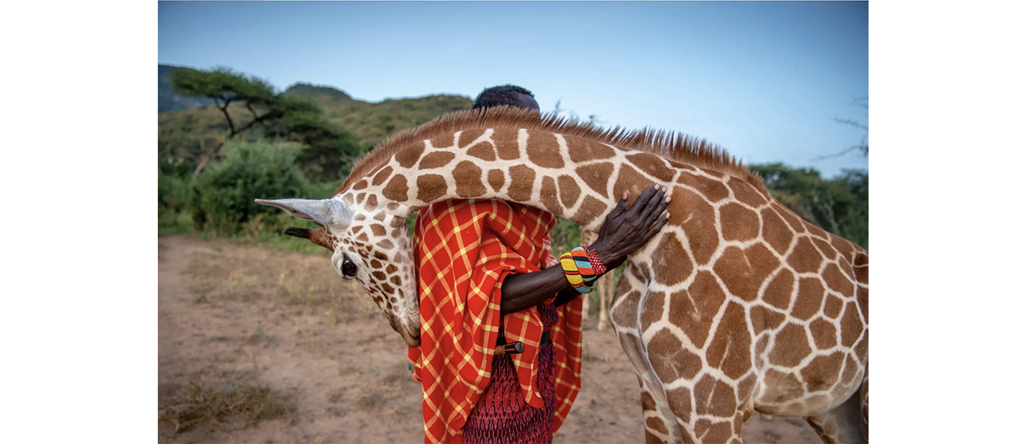 The Art of  Travel Photography