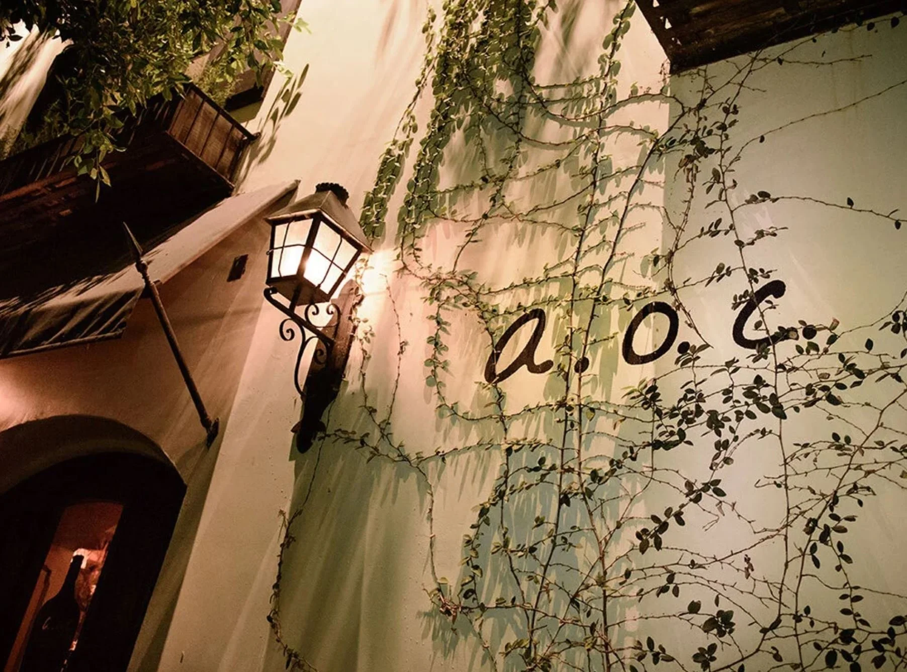 A white wall with green vines and black text that reads 'Aloe' and a black vintage-style wall-mounted lantern illuminating the area.