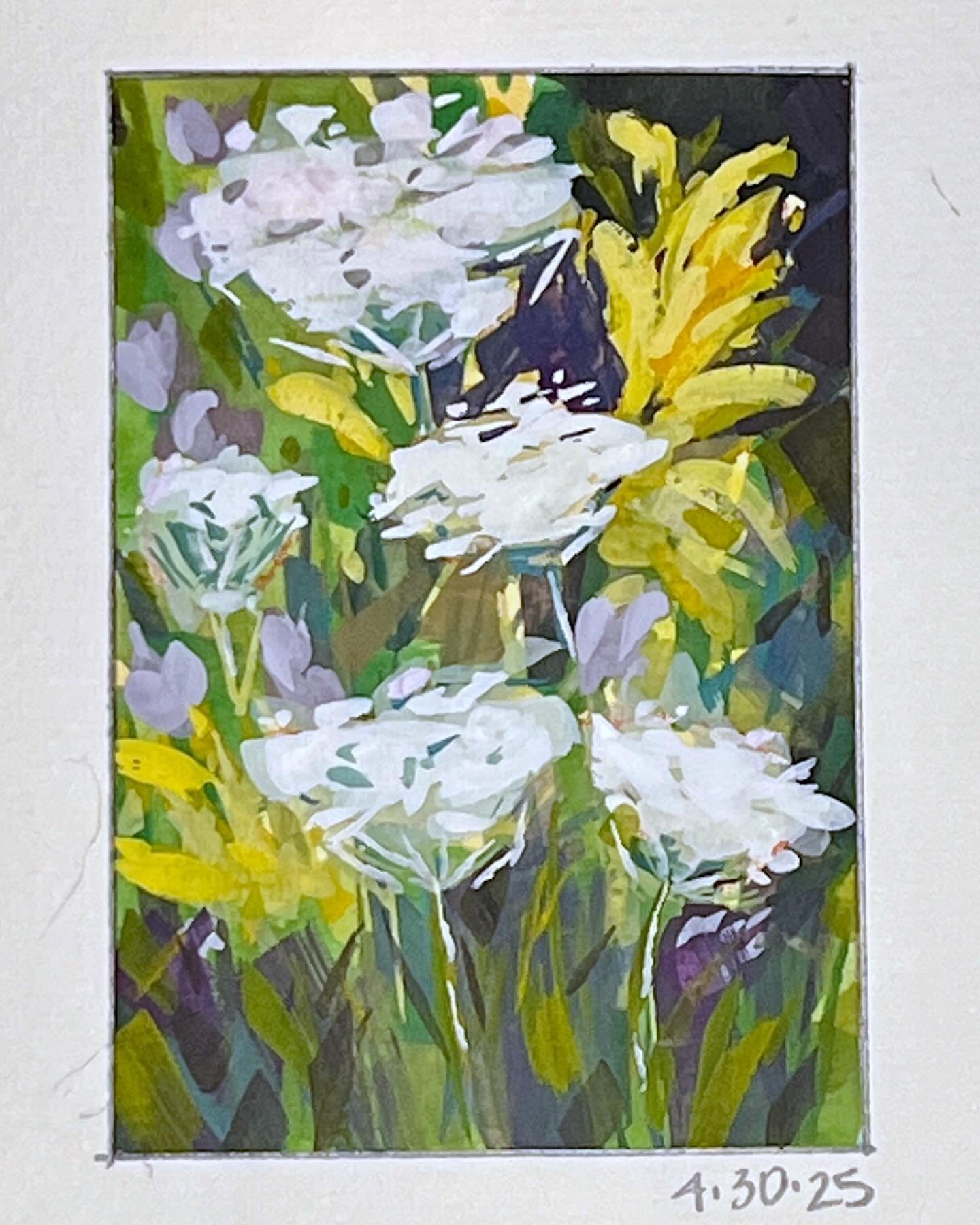 Last Day of Plein Airpril

I love Queen Anne&rsquo;s Lace! 

#pleinairpril #pleinairpril2025 @warriorpainters