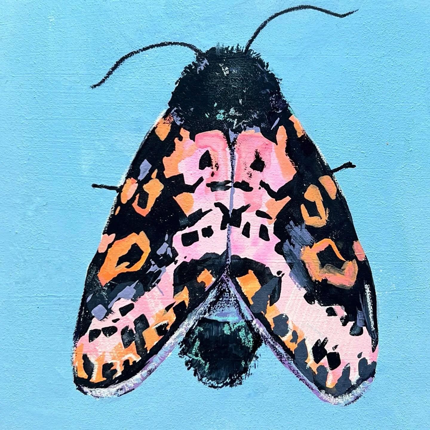 Working on a collection of colorful moths. Some of these moths look like they couldn&rsquo;t actually be real.