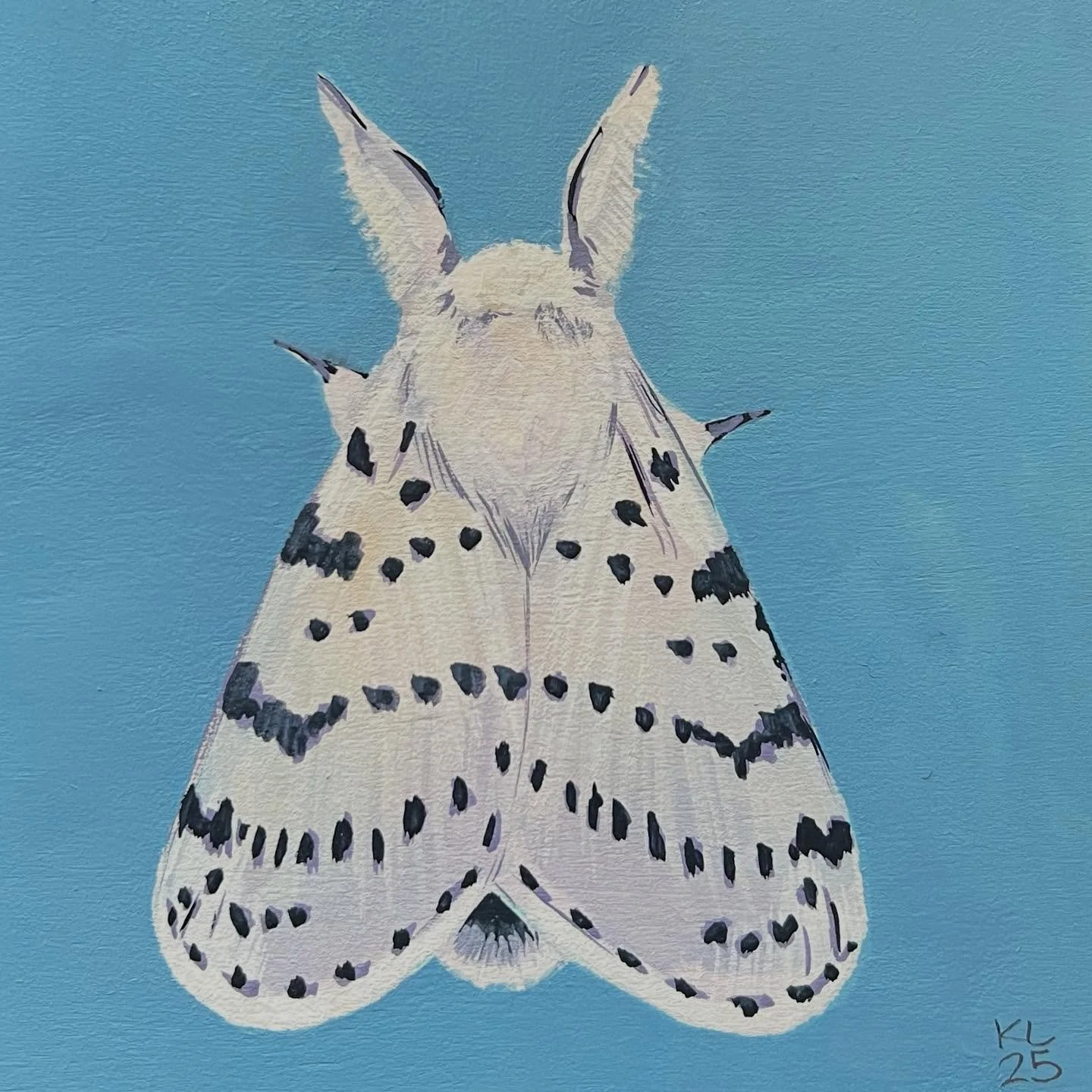 A few more moth studies!