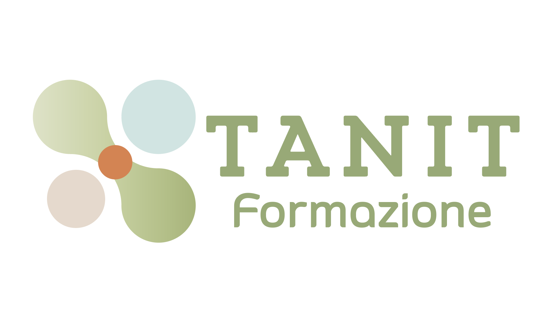 Tanit studio pilates guspini - formazione.png