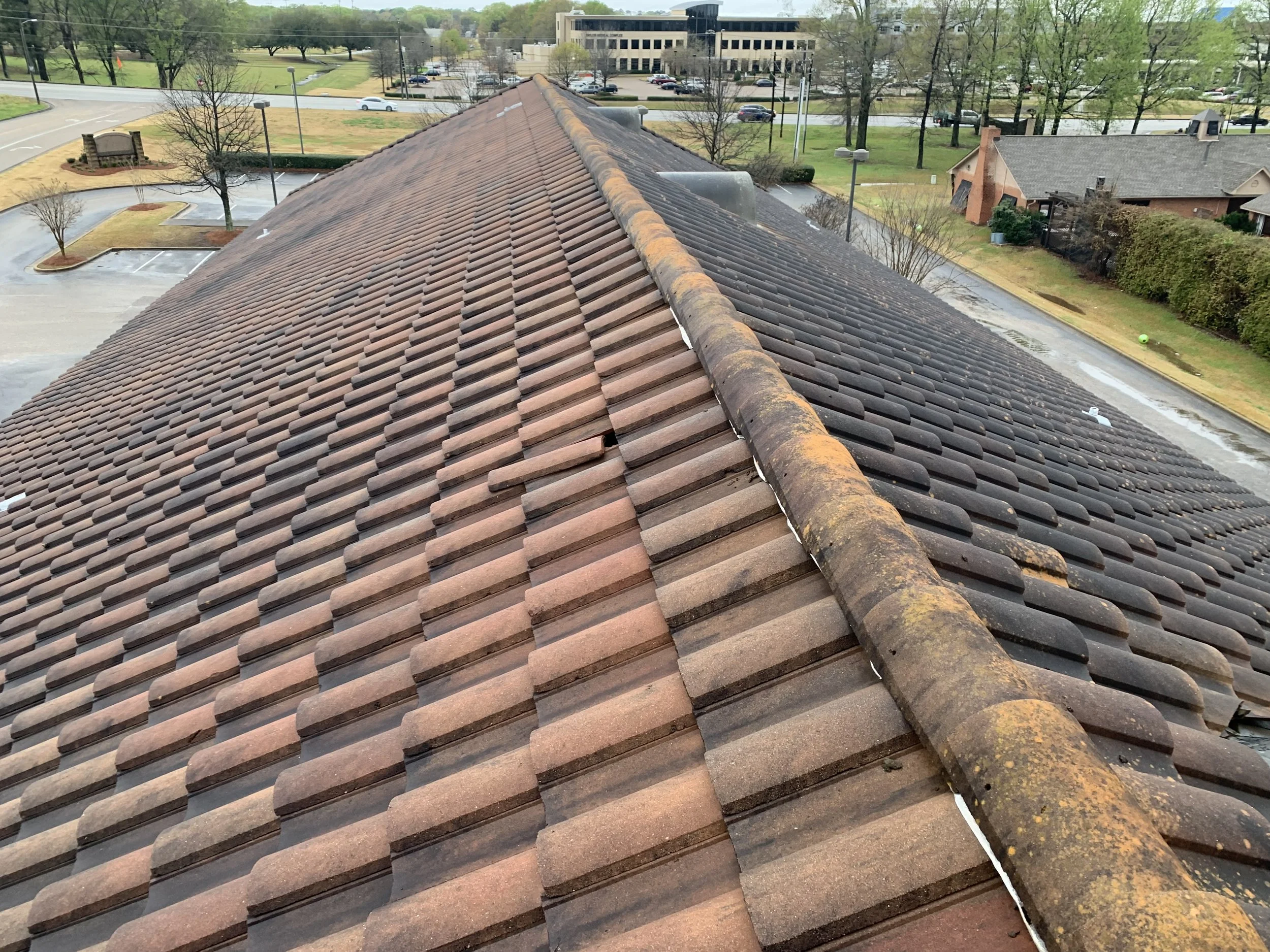 Photos — Studs and Suds