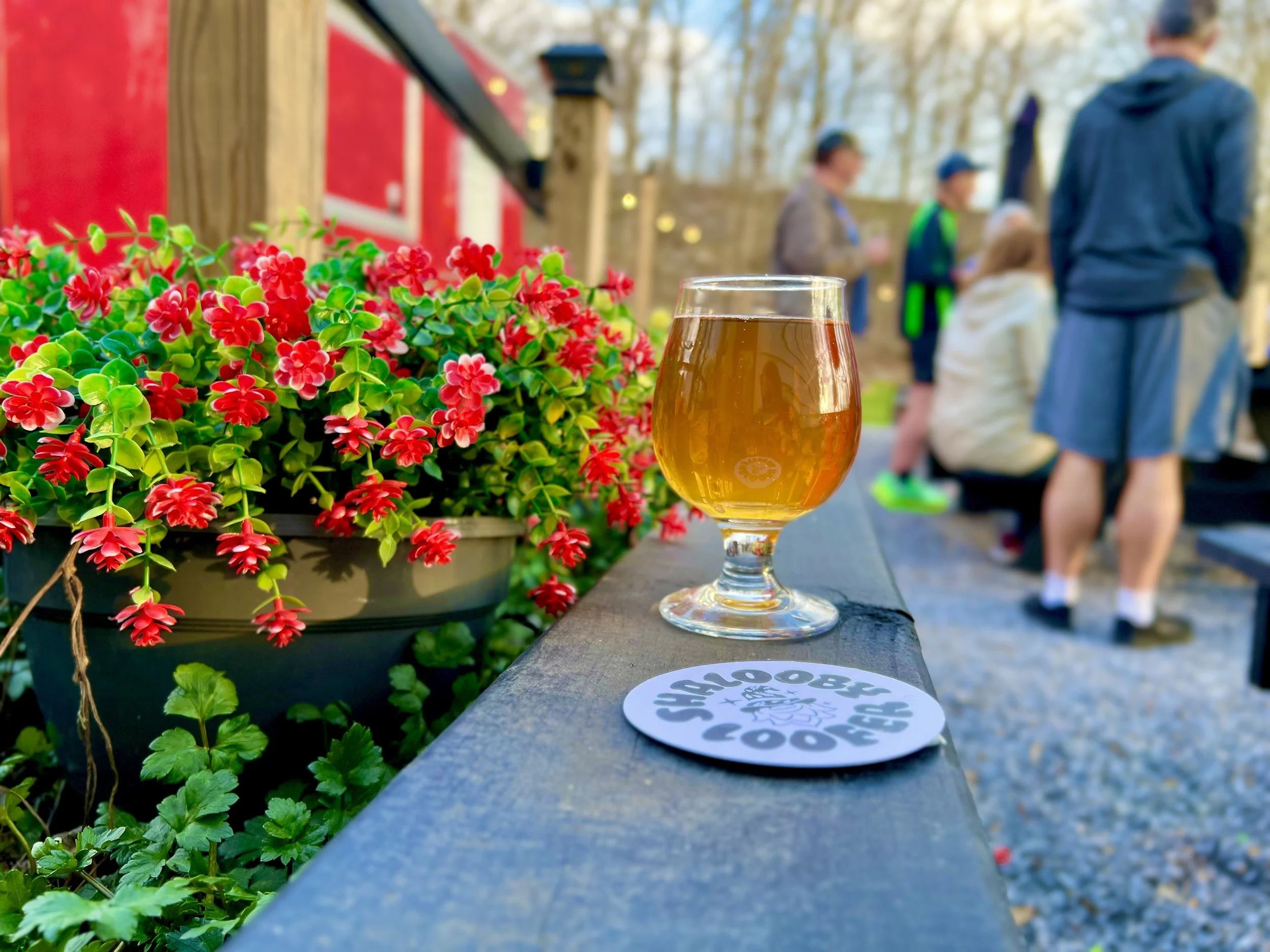 2026 Cinco de Mayo Bar Crawl