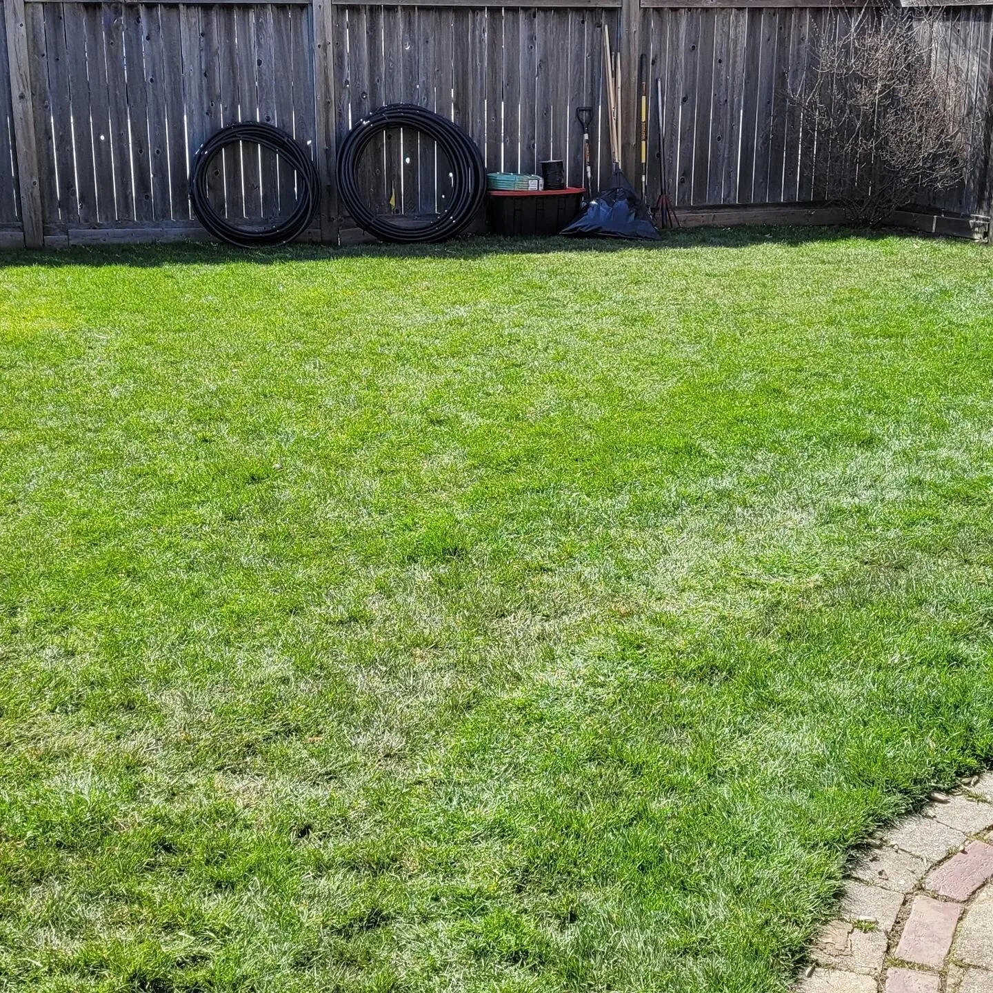 All cleaned up after the dig!