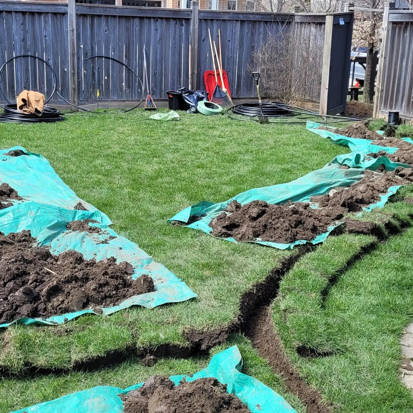 Hand digging backyard