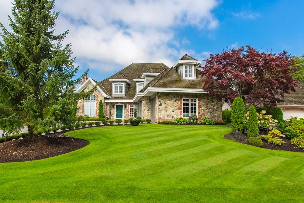 PHOTO_house_small.jpg