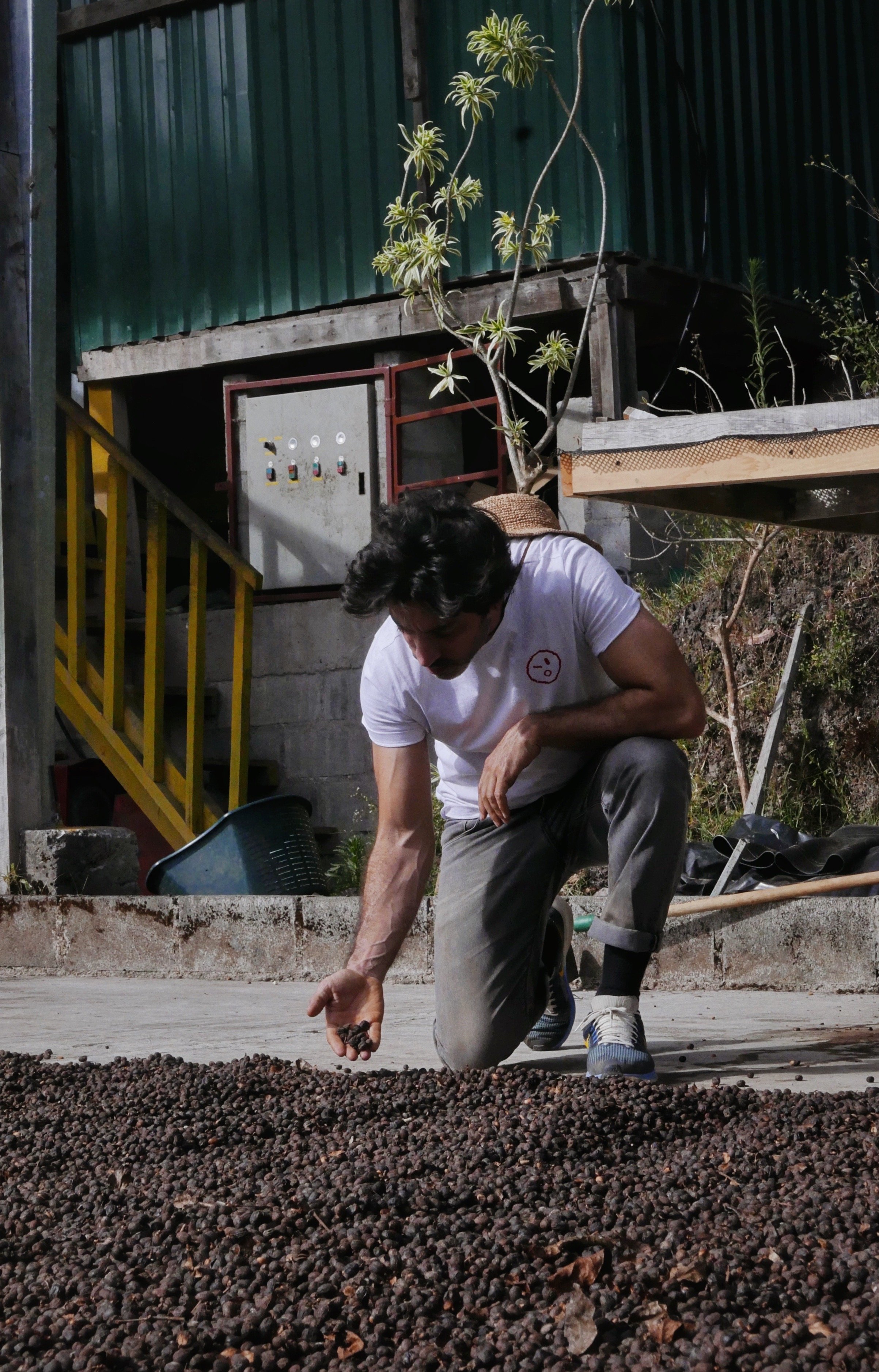 The Direct Trade Manifesto: Why “SO” is Helping Redefine the Coffee Soul of Portugal