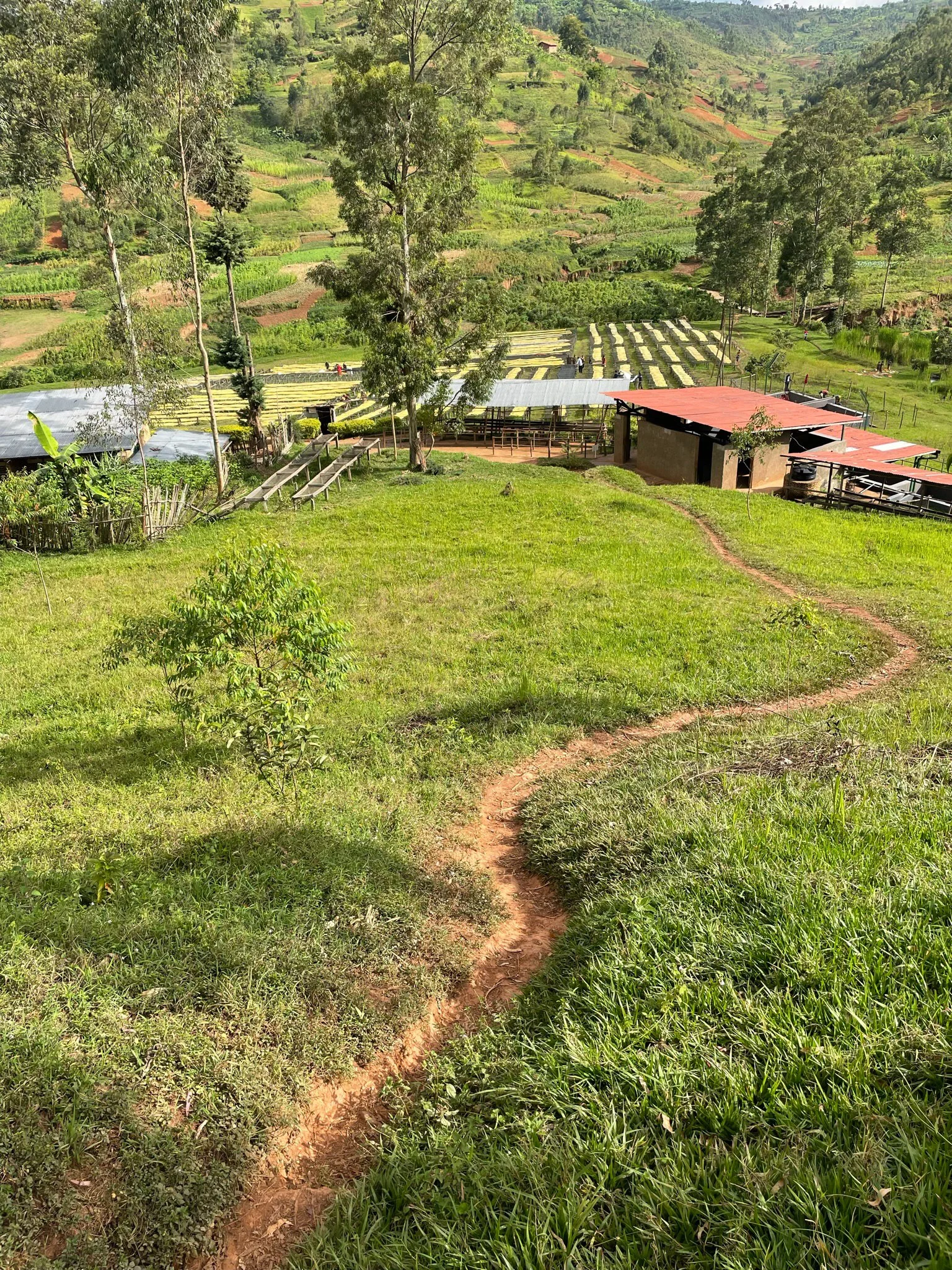 Cafe_Imports_Burundi_Gakenke-4-2026-04-30-134527.jpg