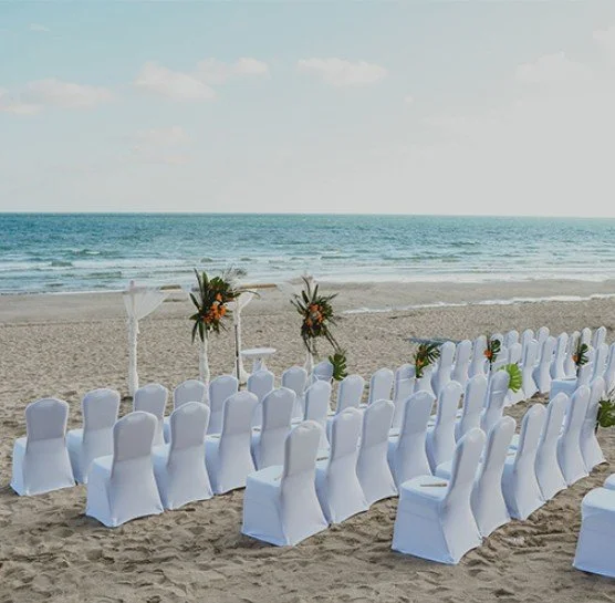 Rocky Point Beach Weddings at Las Palomas Resort &amp; Golf Course with Arizona Wedding Officiant
