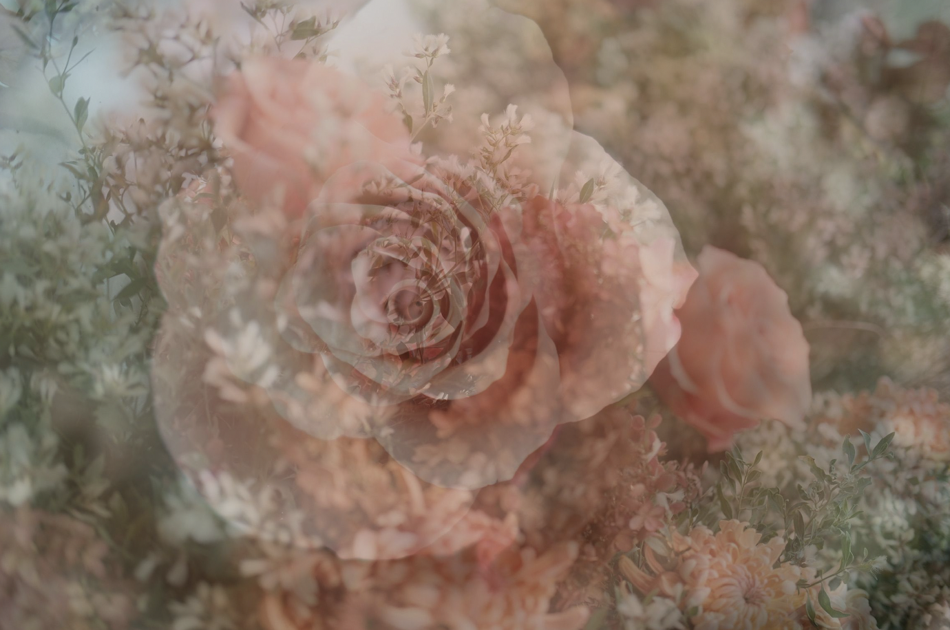 Screen Shot 2023-11-12 at 2.15.07 PM.png