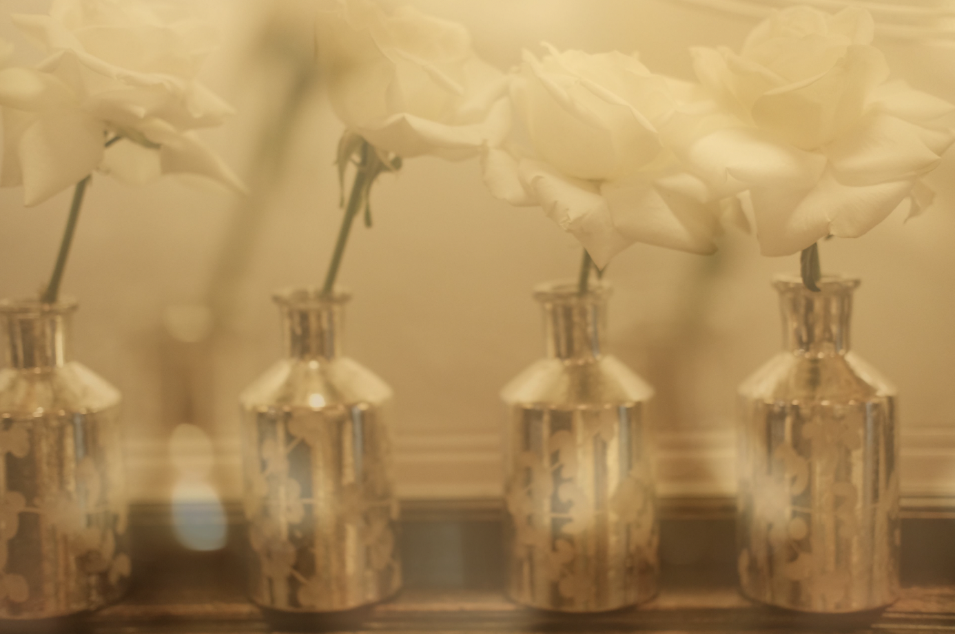 Screen Shot 2023-11-12 at 2.21.00 PM.png