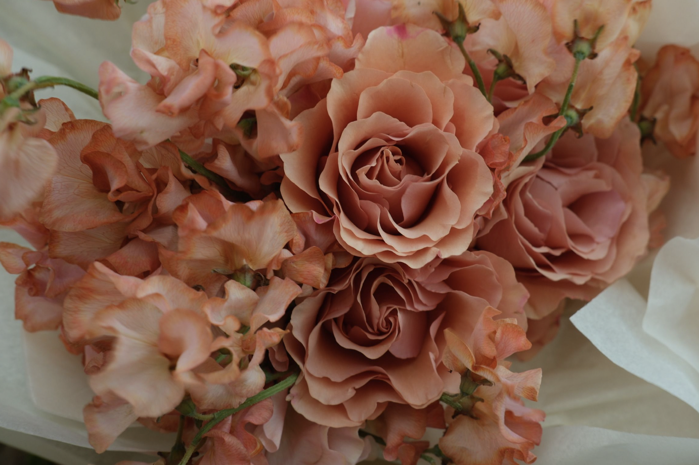 Screen Shot 2023-11-12 at 2.40.36 PM.png