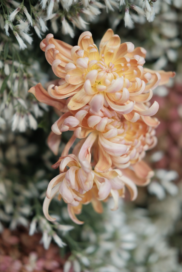 Screen Shot 2023-11-12 at 2.14.57 PM.png