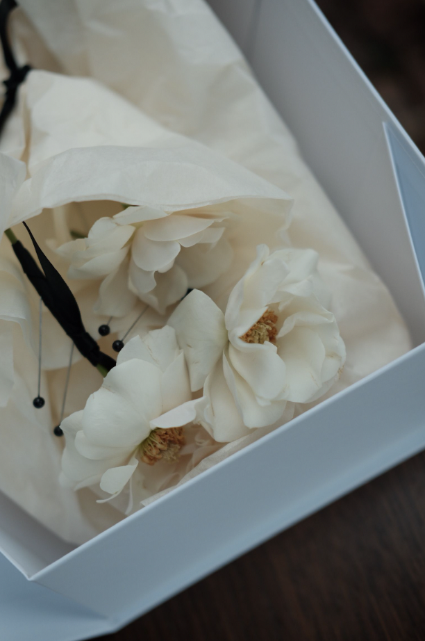 Screen Shot 2023-11-12 at 2.42.02 PM.png