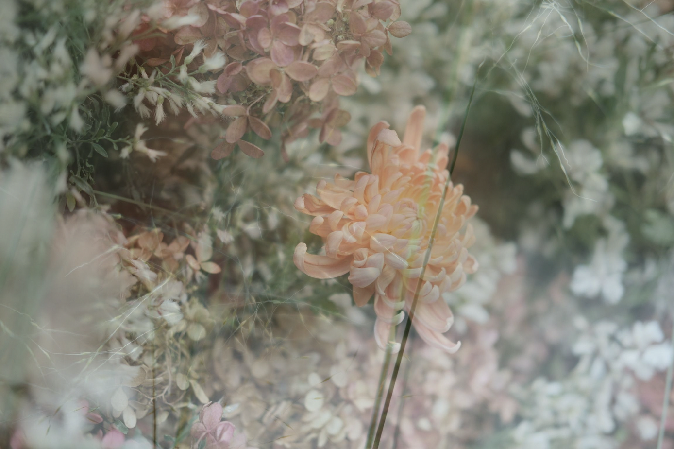 Screen Shot 2023-11-12 at 2.14.48 PM.png