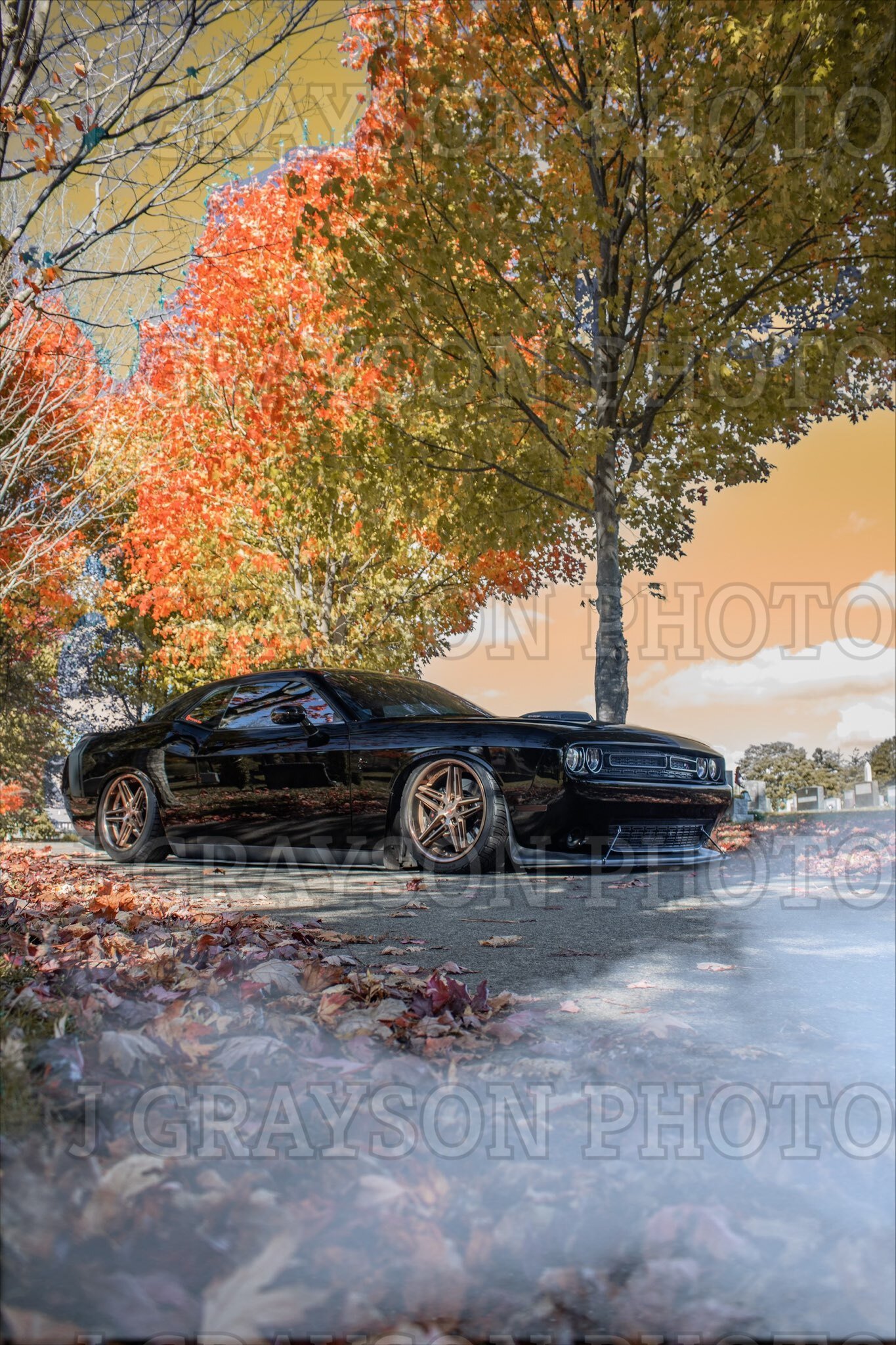 img_0002 (2).jpg