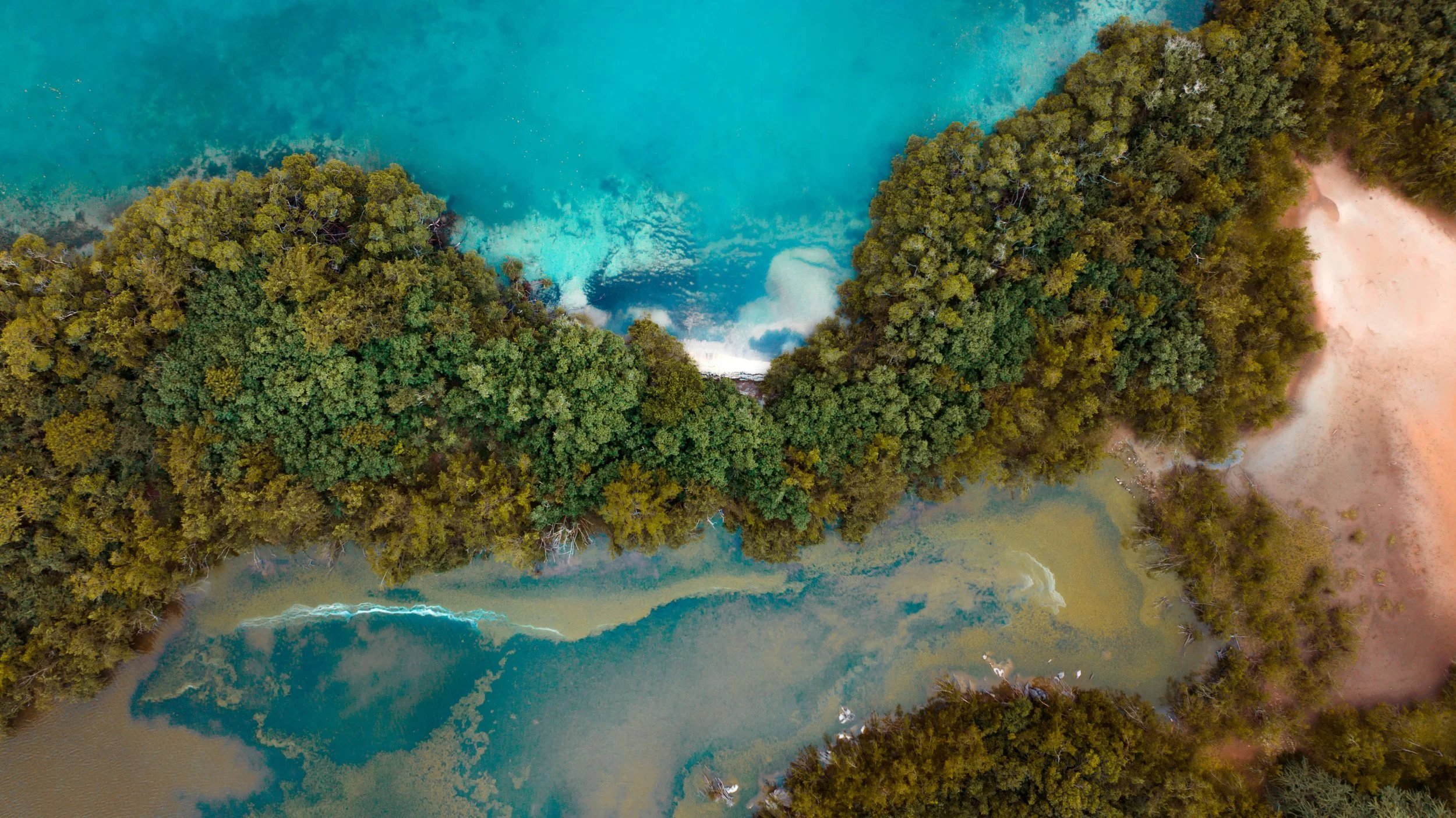 Aerial view of a tropical coastline showing a beach on the right, dense green forest, and a body of water with varying shades of blue and turquoise.