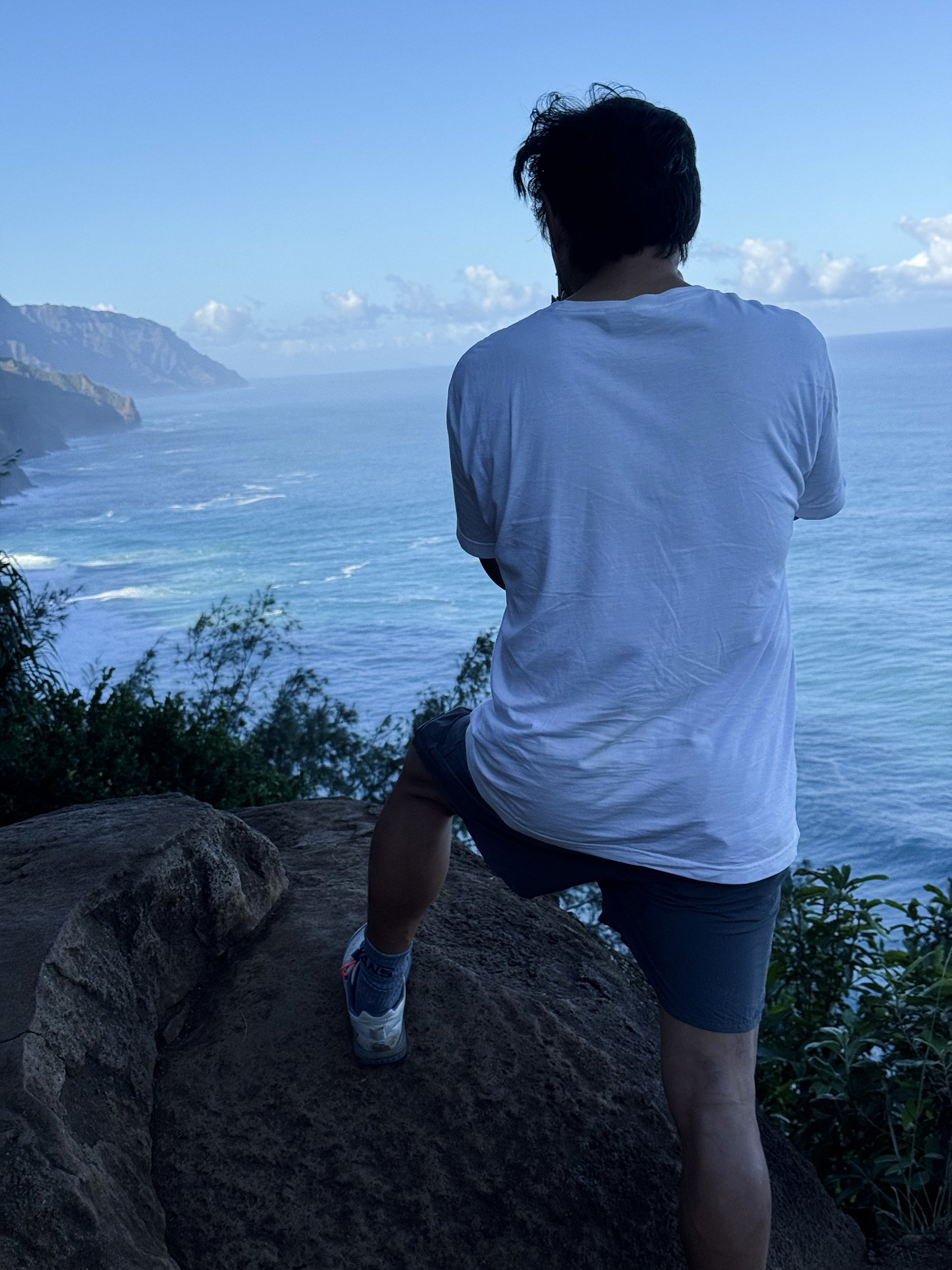 Person standing on a rock, facing the ocean with cliffs in the background