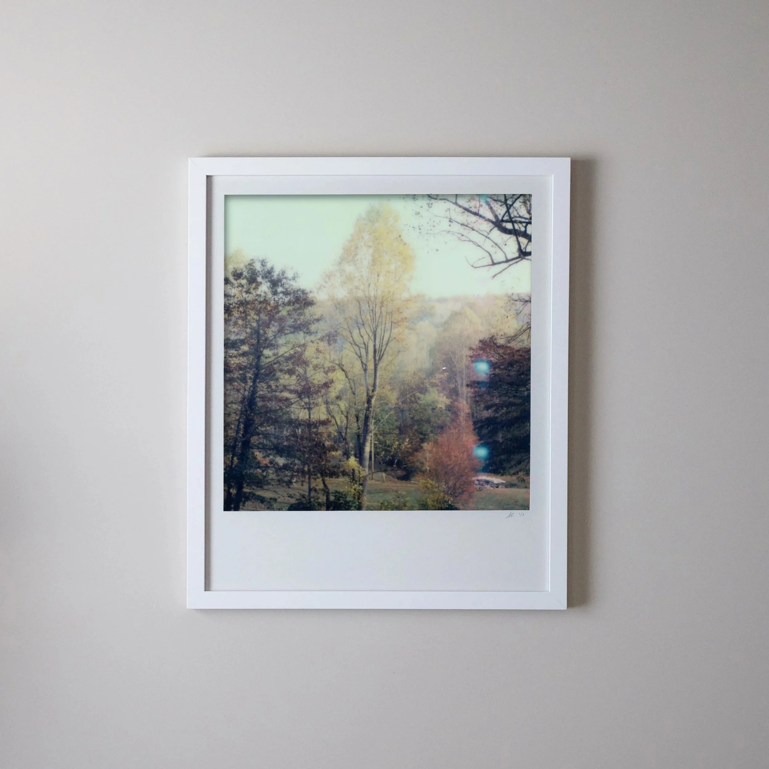 Photograph of a forest with trees in fall colors, framed and hanging on a white wall.
