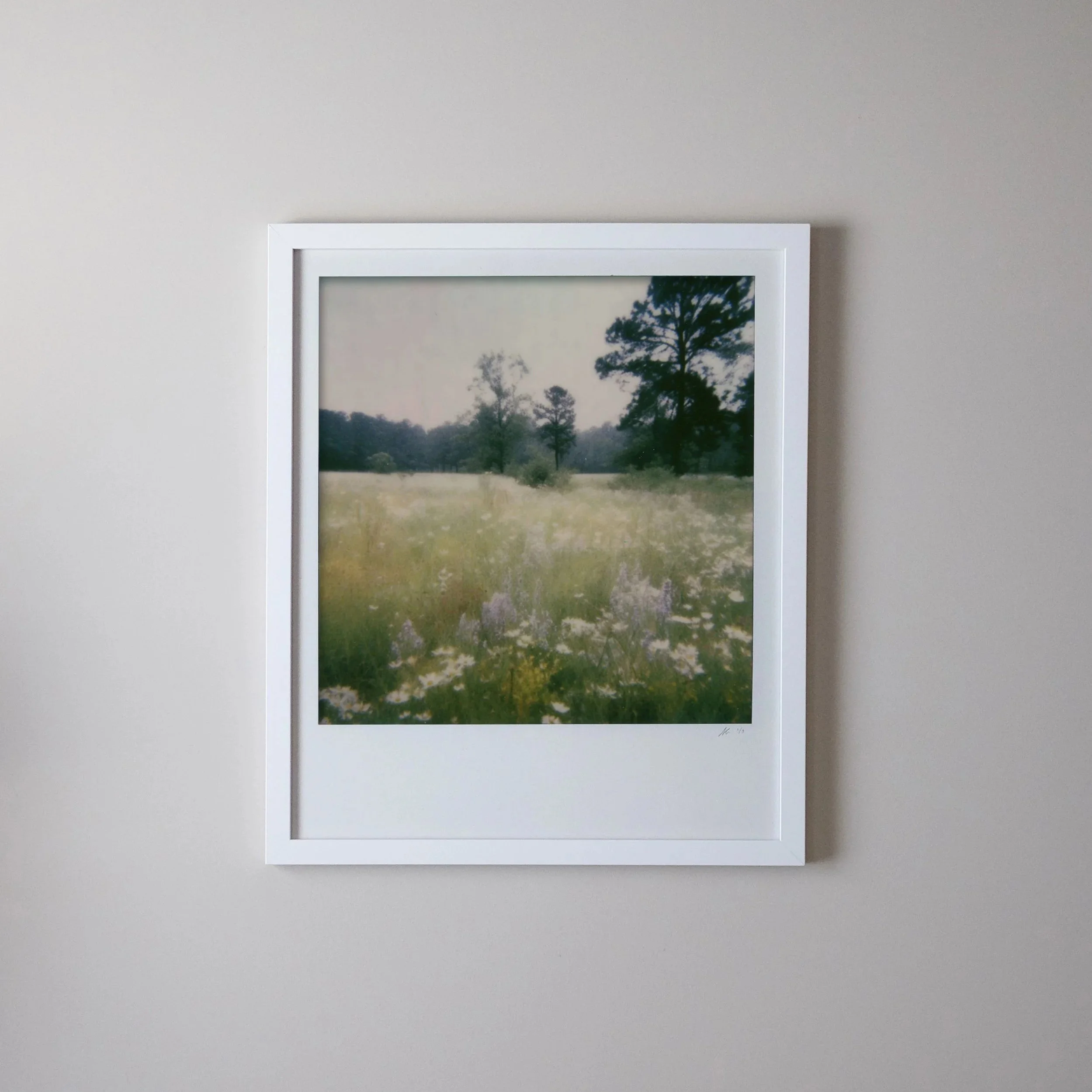 A framed landscape photo of a field with tall grass and trees, hanging on a plain white wall.
