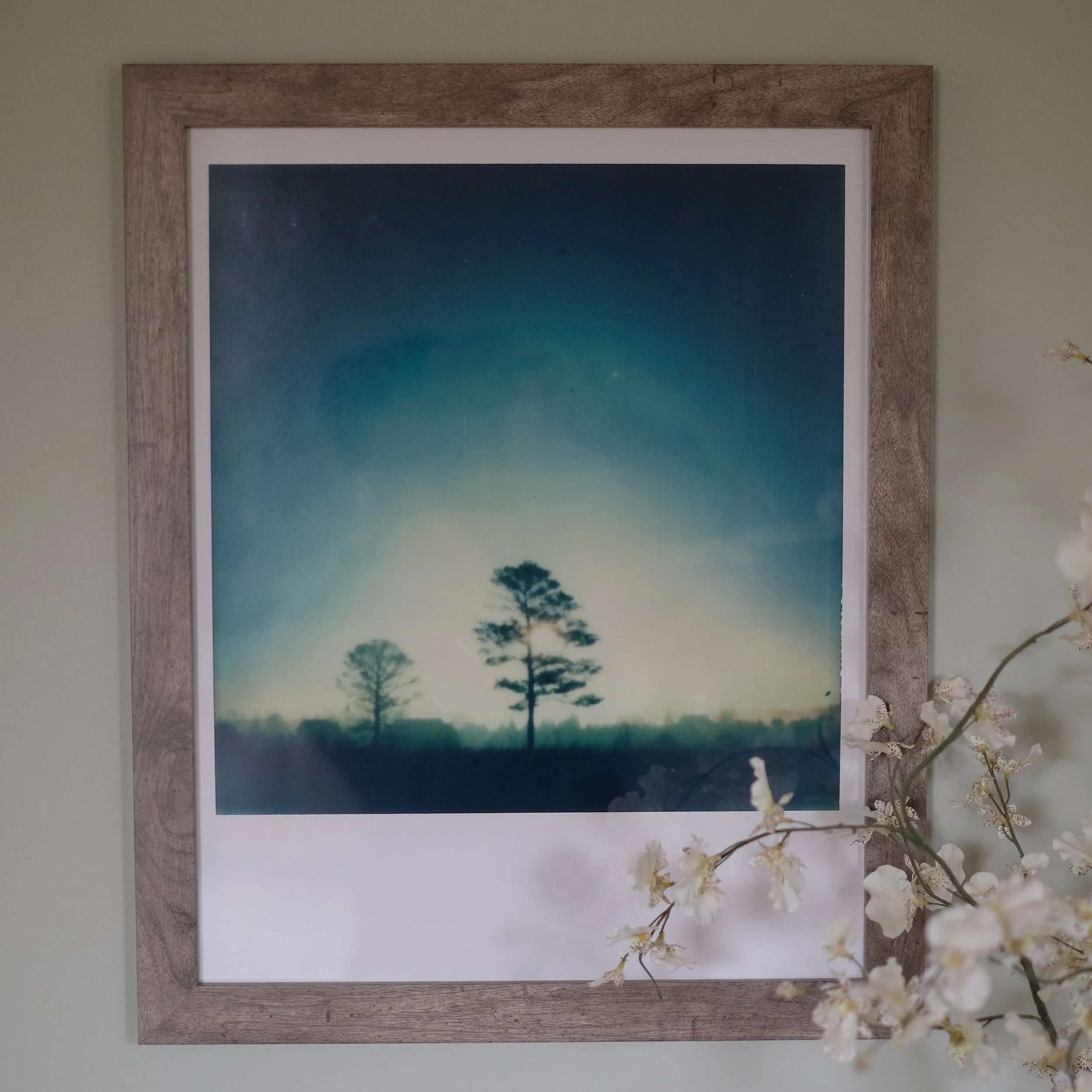 Framed landscape photograph of trees against a misty sky with soft light, partially obscured by white flowers in the foreground.