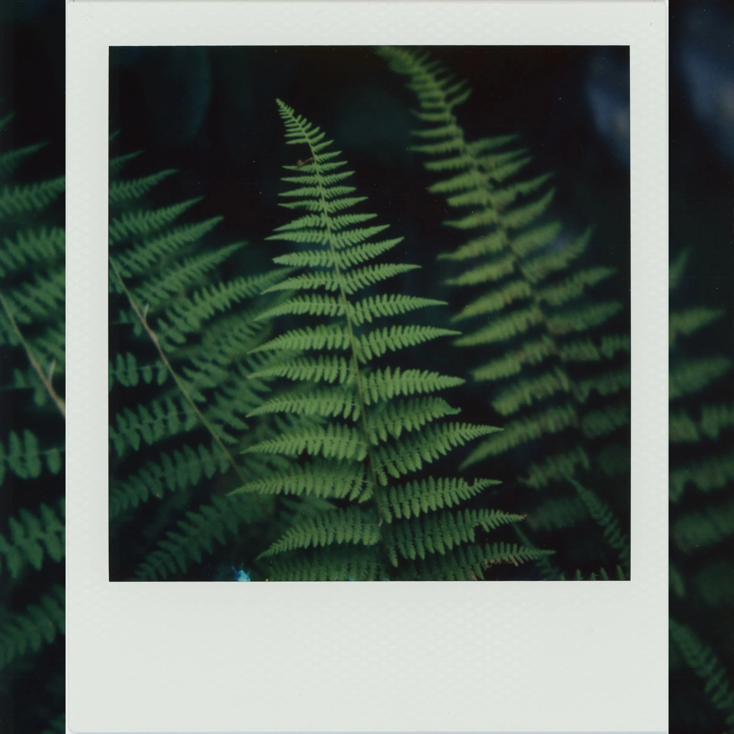 Quiet, ordinary things&hellip; where happiness is.

The extraordinary has the wow factor. The loud gets our attention. But those are difficult chases to make us happy. And that is why we can feel empty so often. Harder to find joy in the ordinary, le