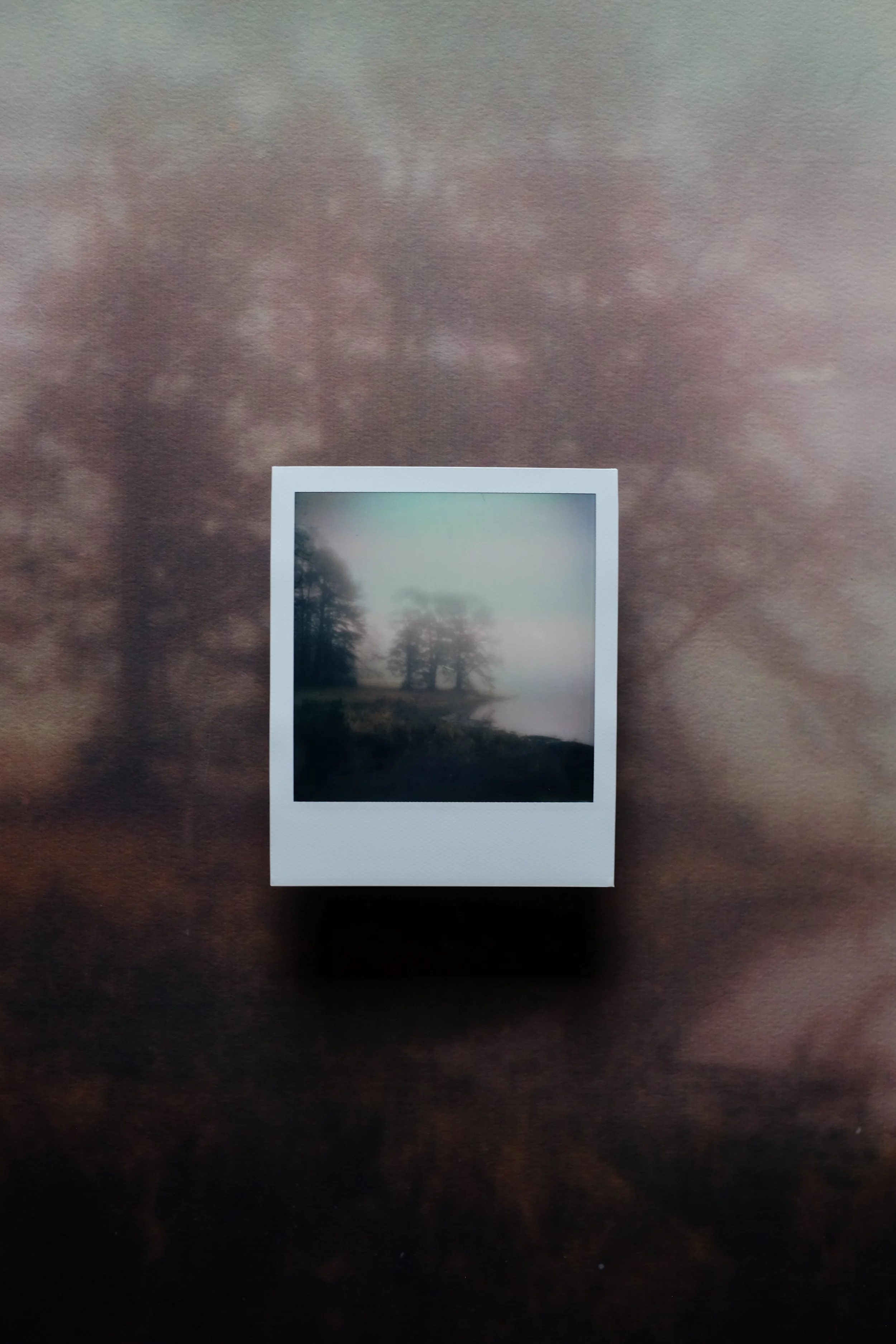 A small instant photograph of a foggy landscape with trees and water, placed on a surface with a blurred background of trees.