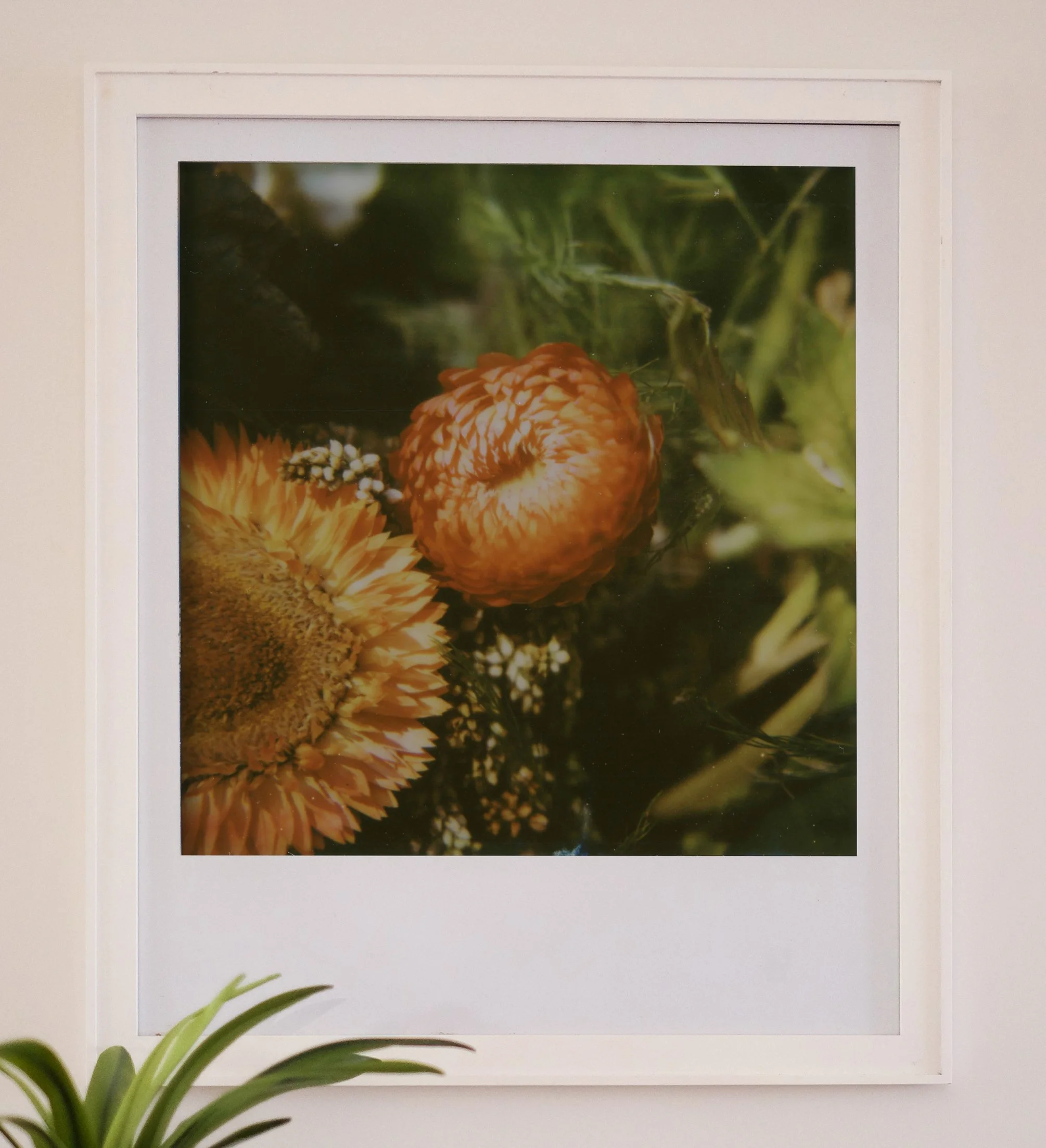 "All That We're Given"