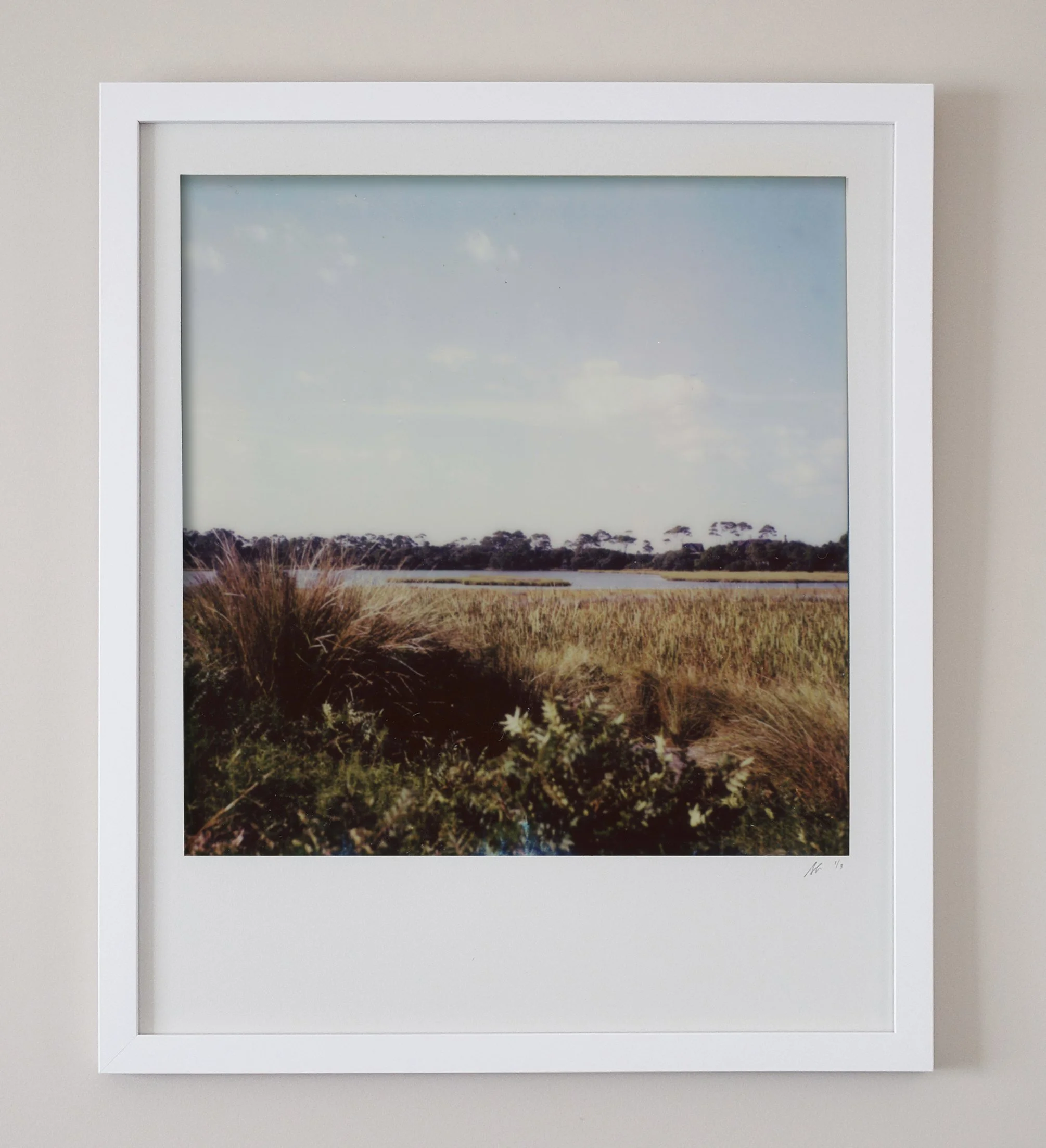 Kiawah_02.jpg