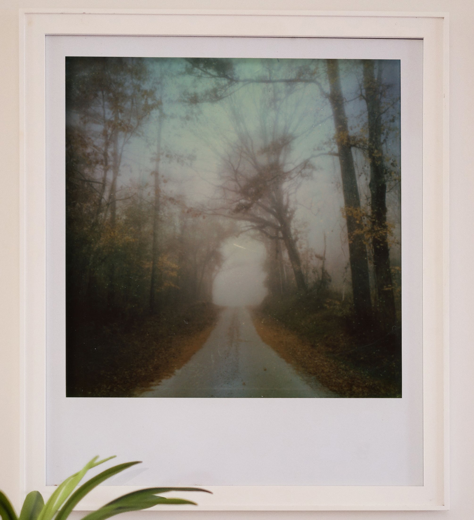 "Trust the Journey"