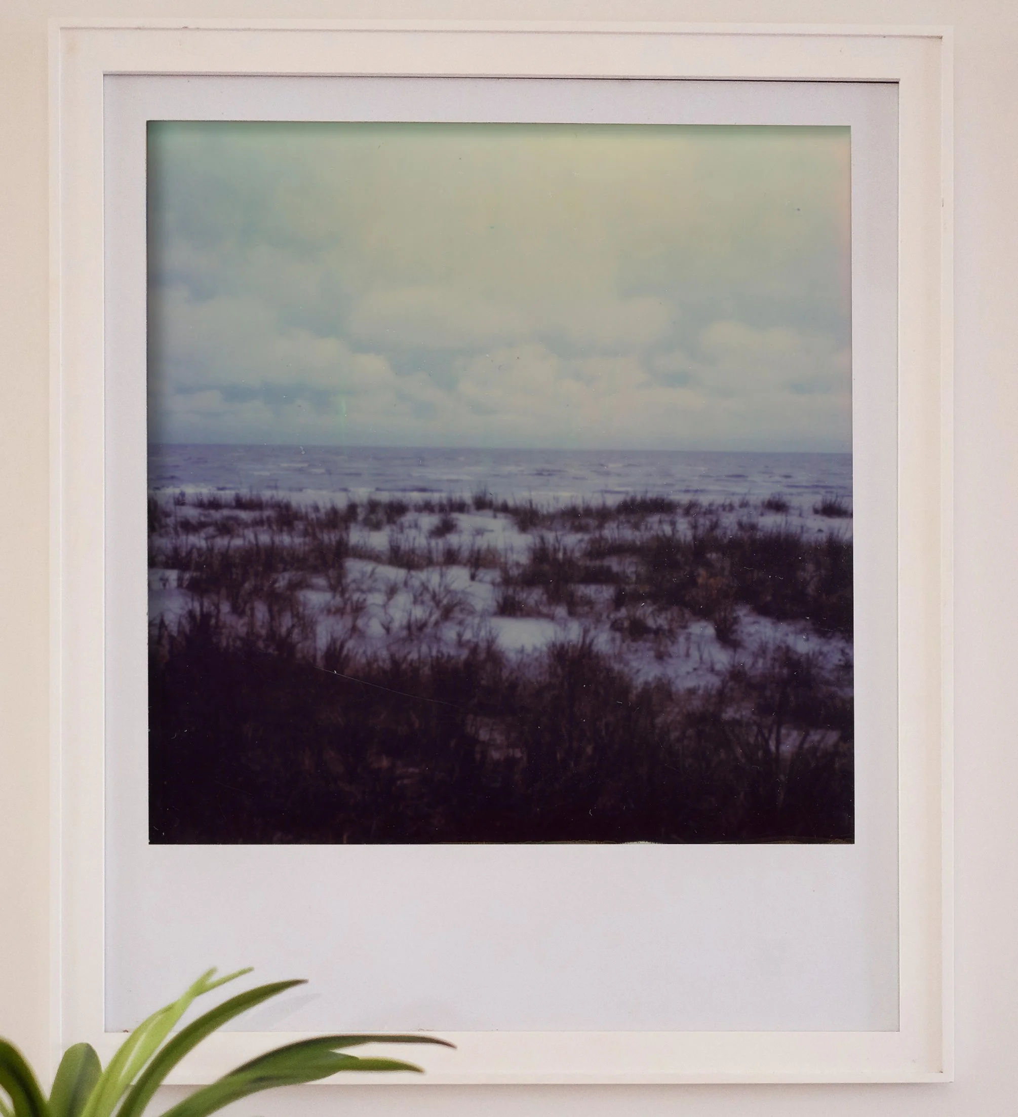 "The Quiet Expanse"