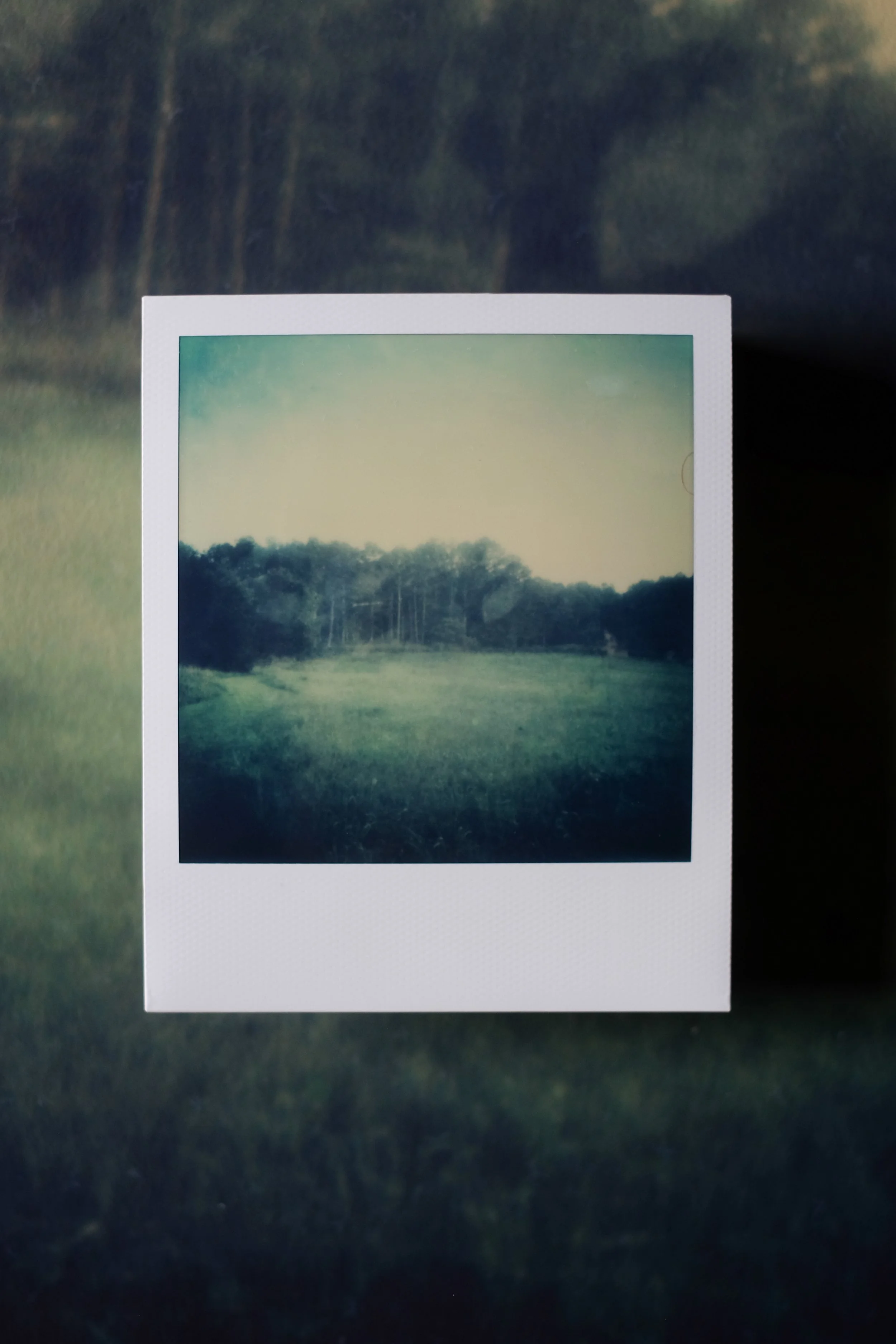 A vintage Polaroid photo of a green field with trees in the background and a cloudy sky.