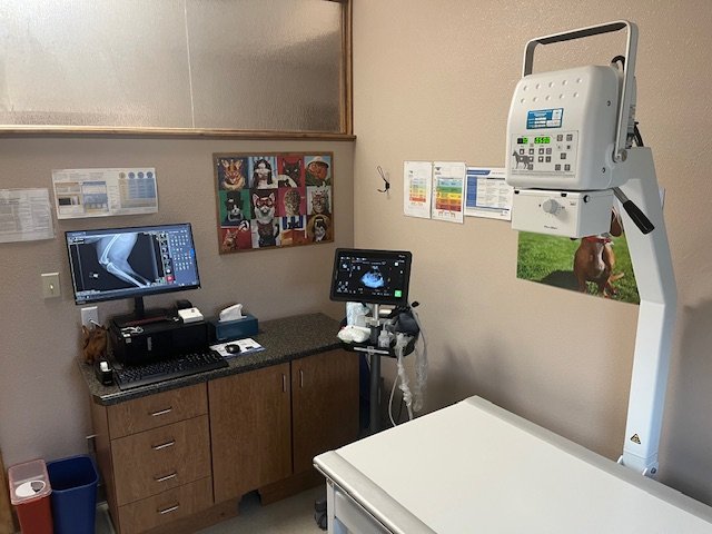 Digital Radiology and Ultrasound