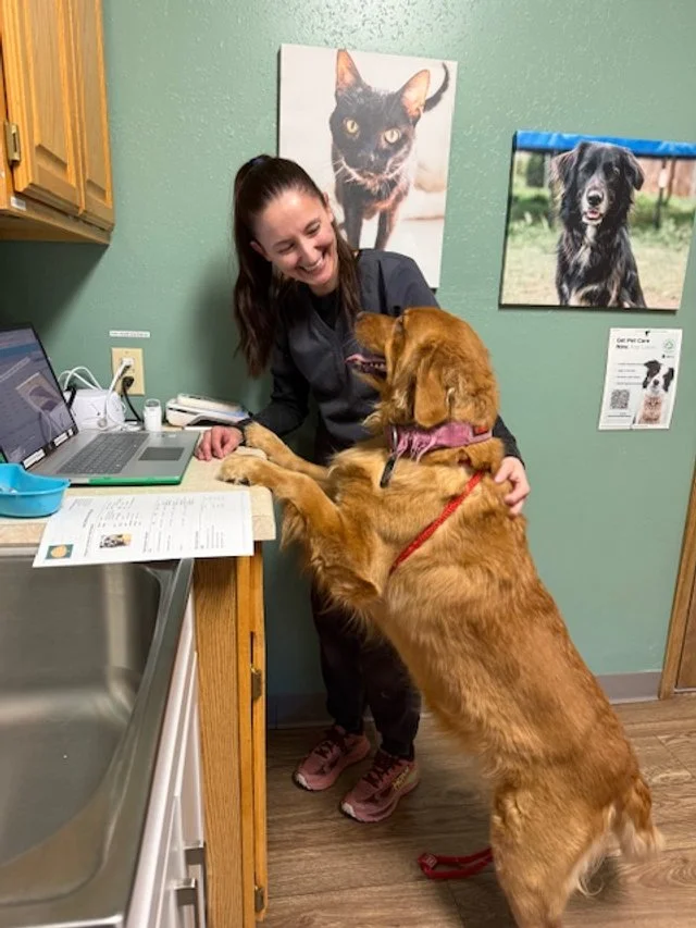 Luna helps vet nurse Madison
