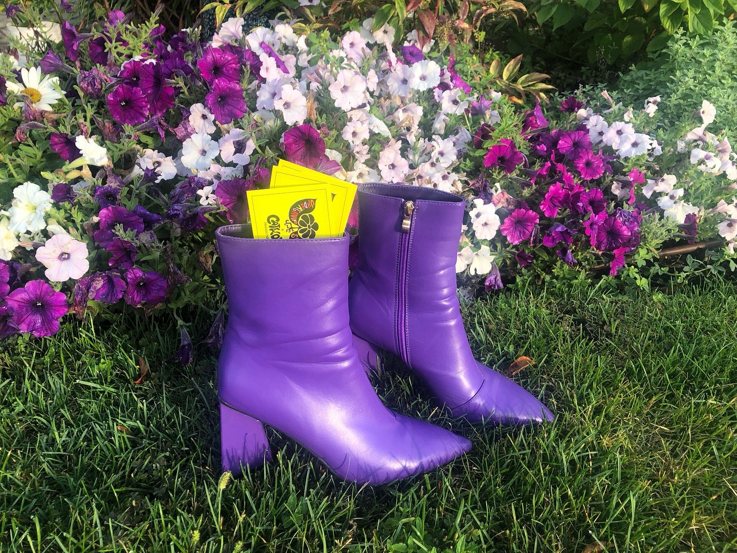 The Underground Sunshine golden tickets are on the rise! Where might you find your golden ticket? 

Search in the woods, backyards, home or maybe online at www.catwolflove.com in the merchandise section to behold a magical golden ticket ✨

These boot
