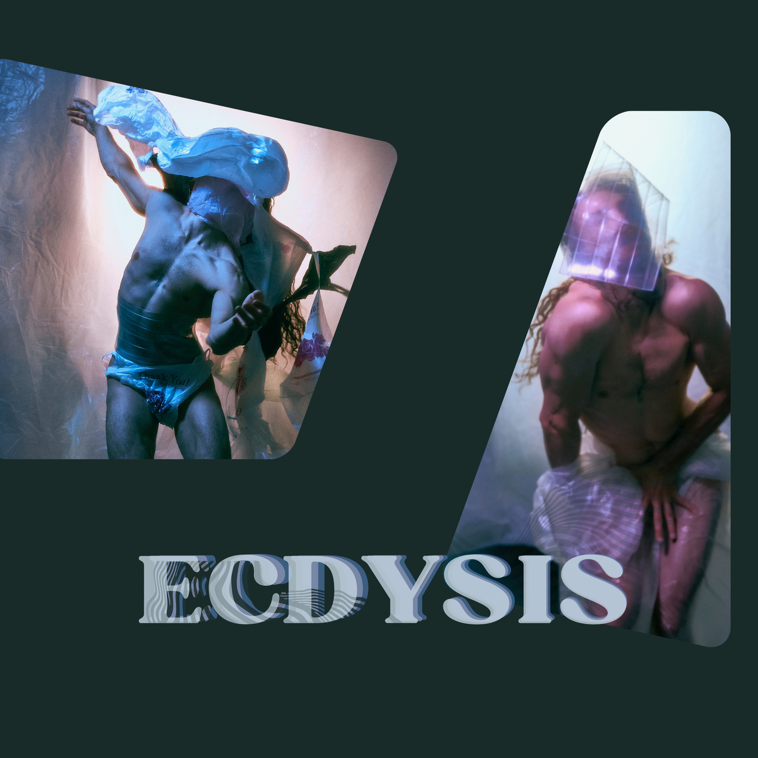 ECDYSIS