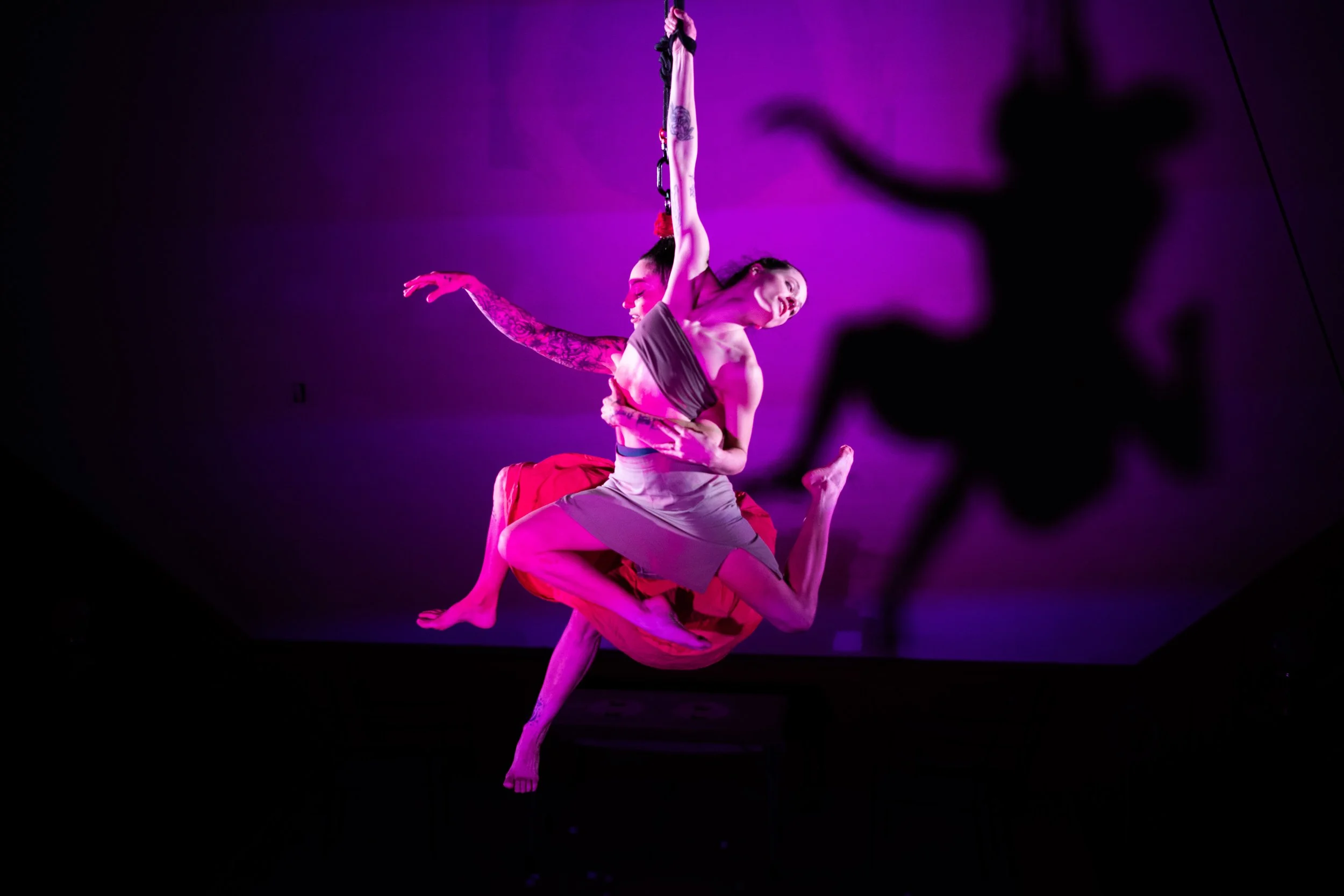 Two aerialists suspended with a pink background