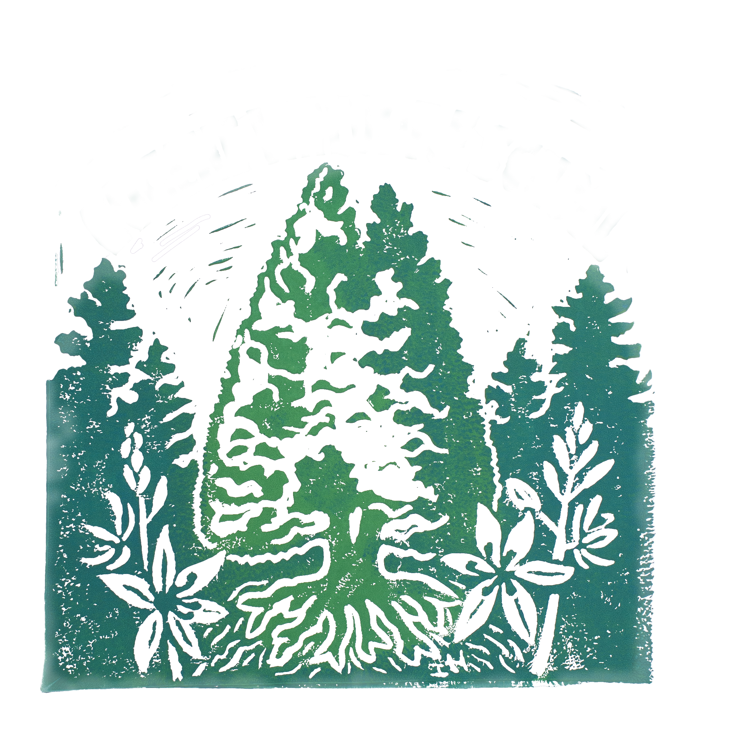 Coming Together Around Tuition - An Evening With The Board