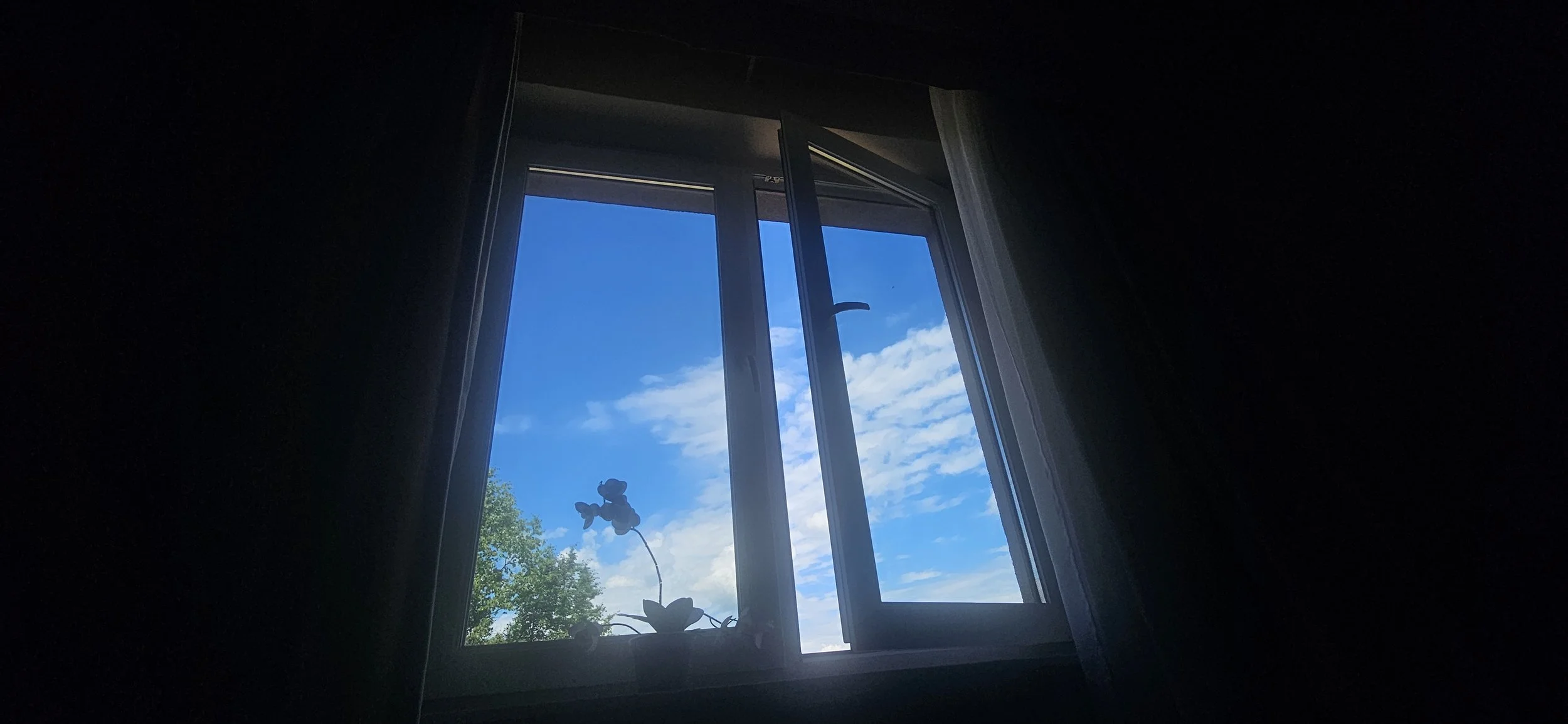 1000601587.jpg