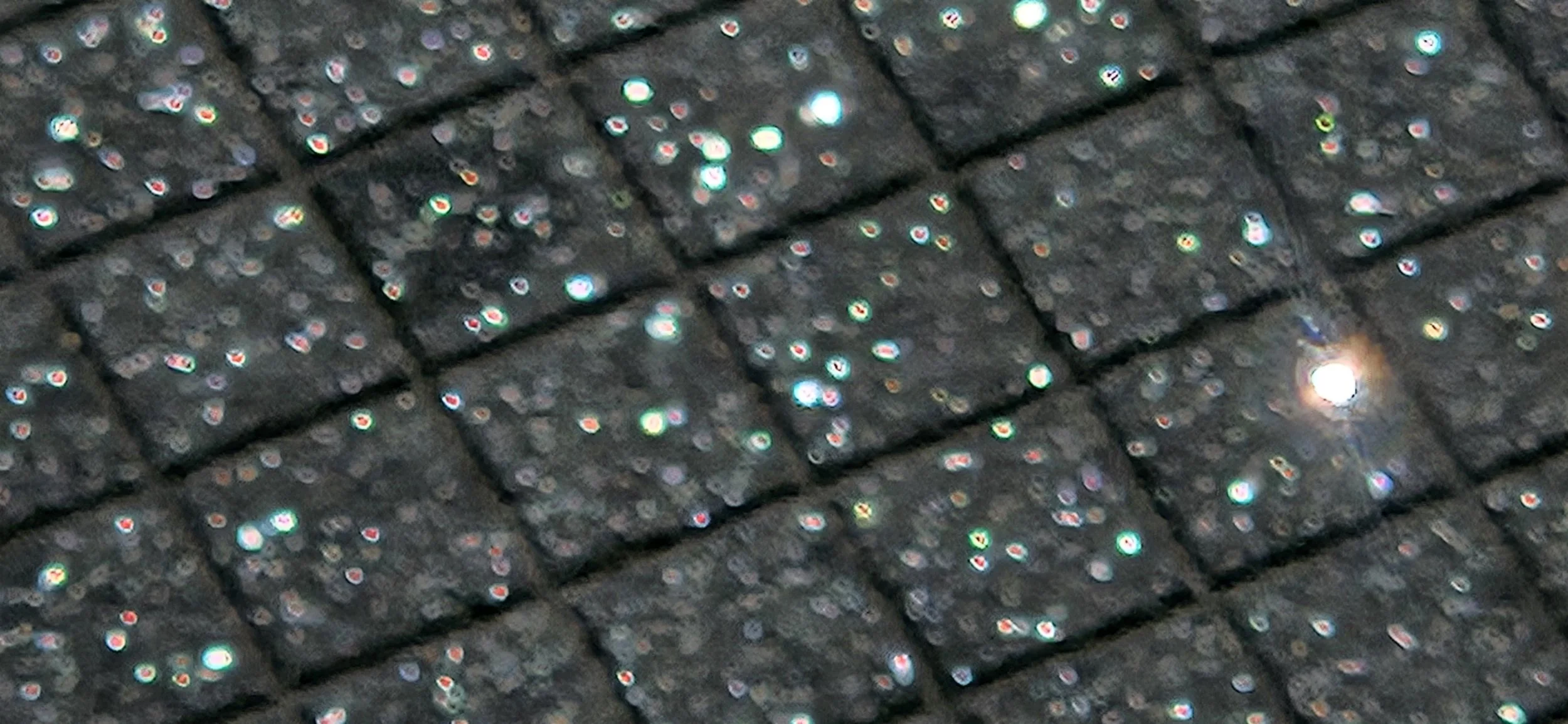1000656318.jpg