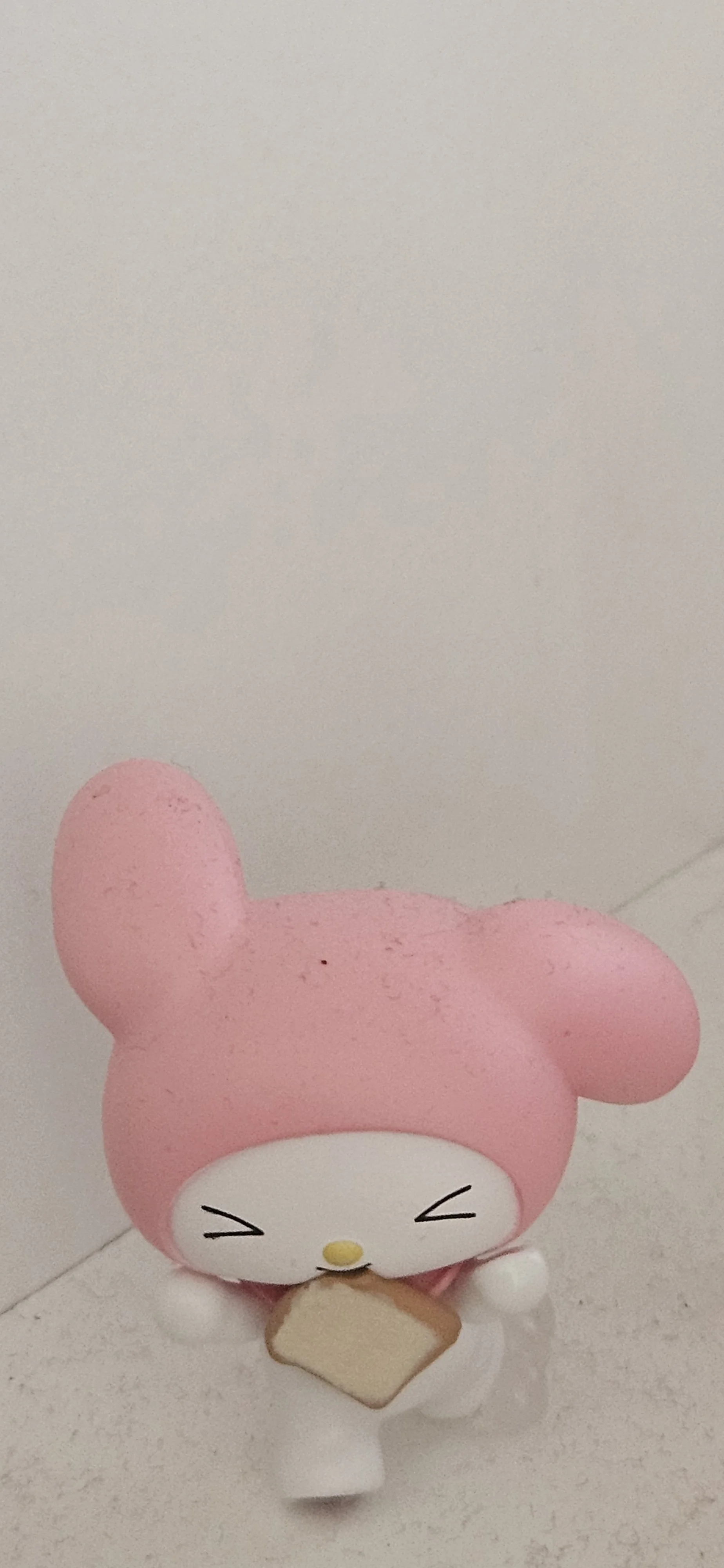 20260726_124945.jpg