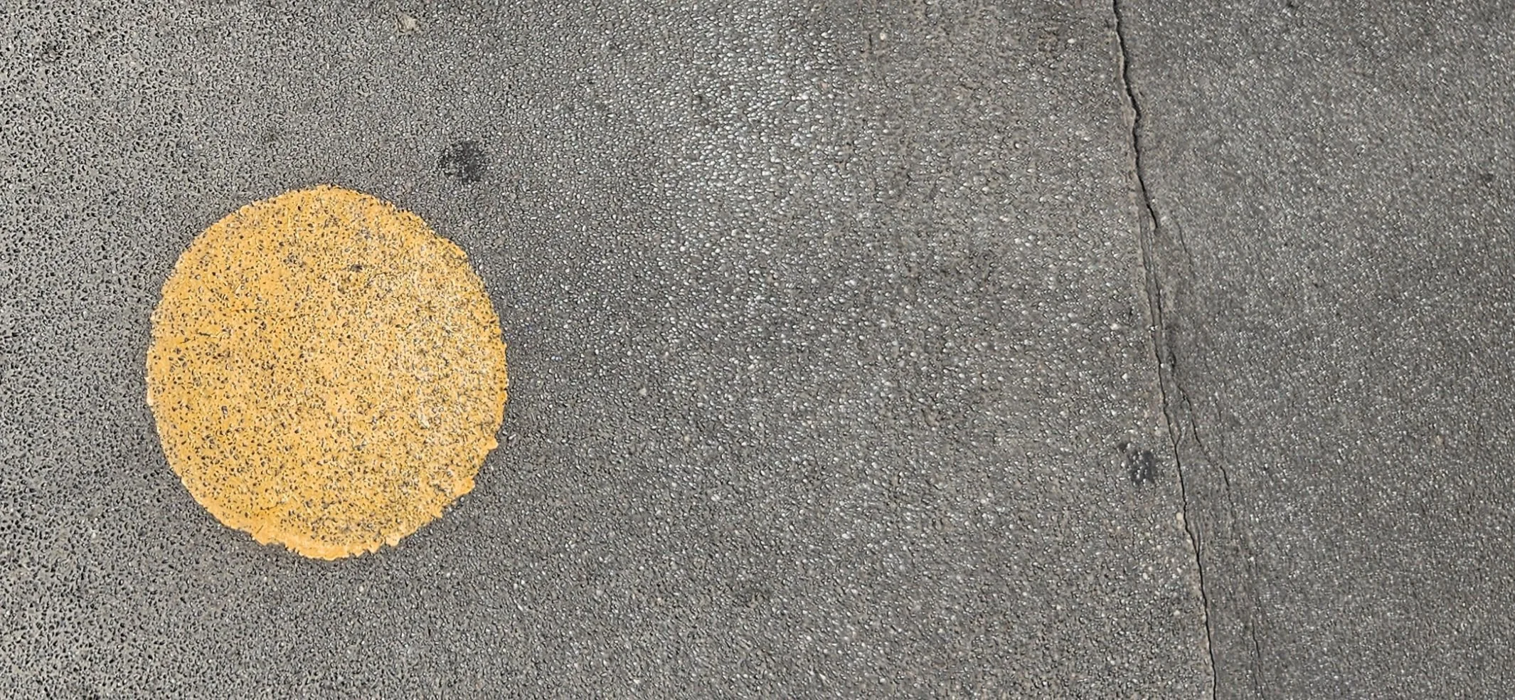 1000625901.jpg