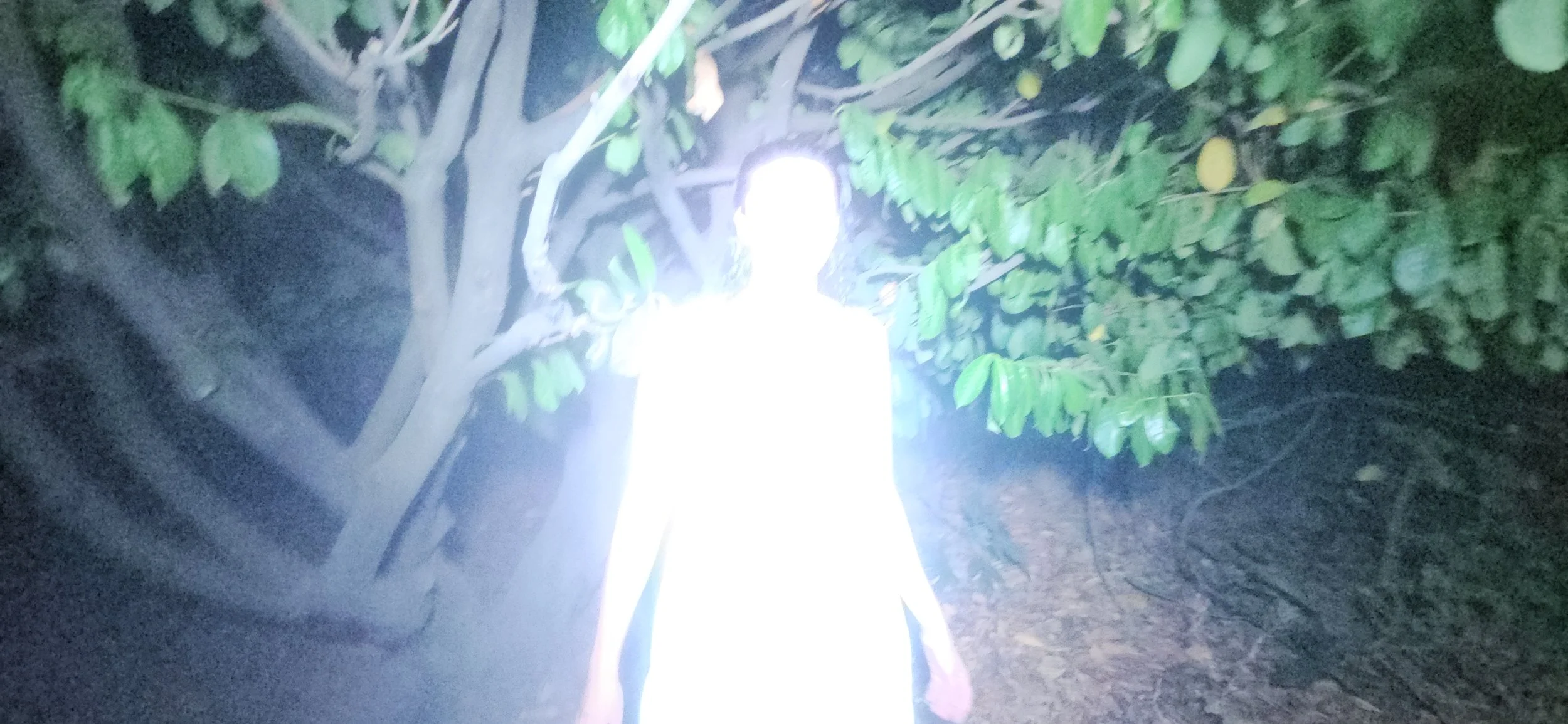 20260803_212101.jpg