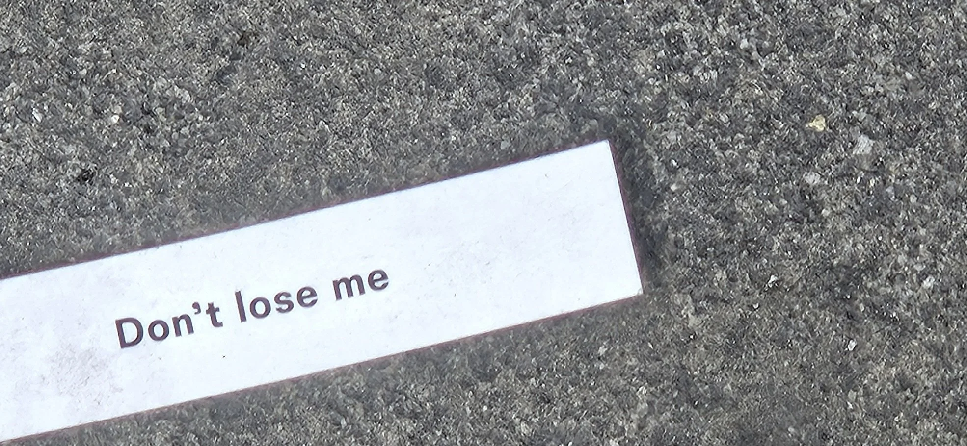1000723423.jpg