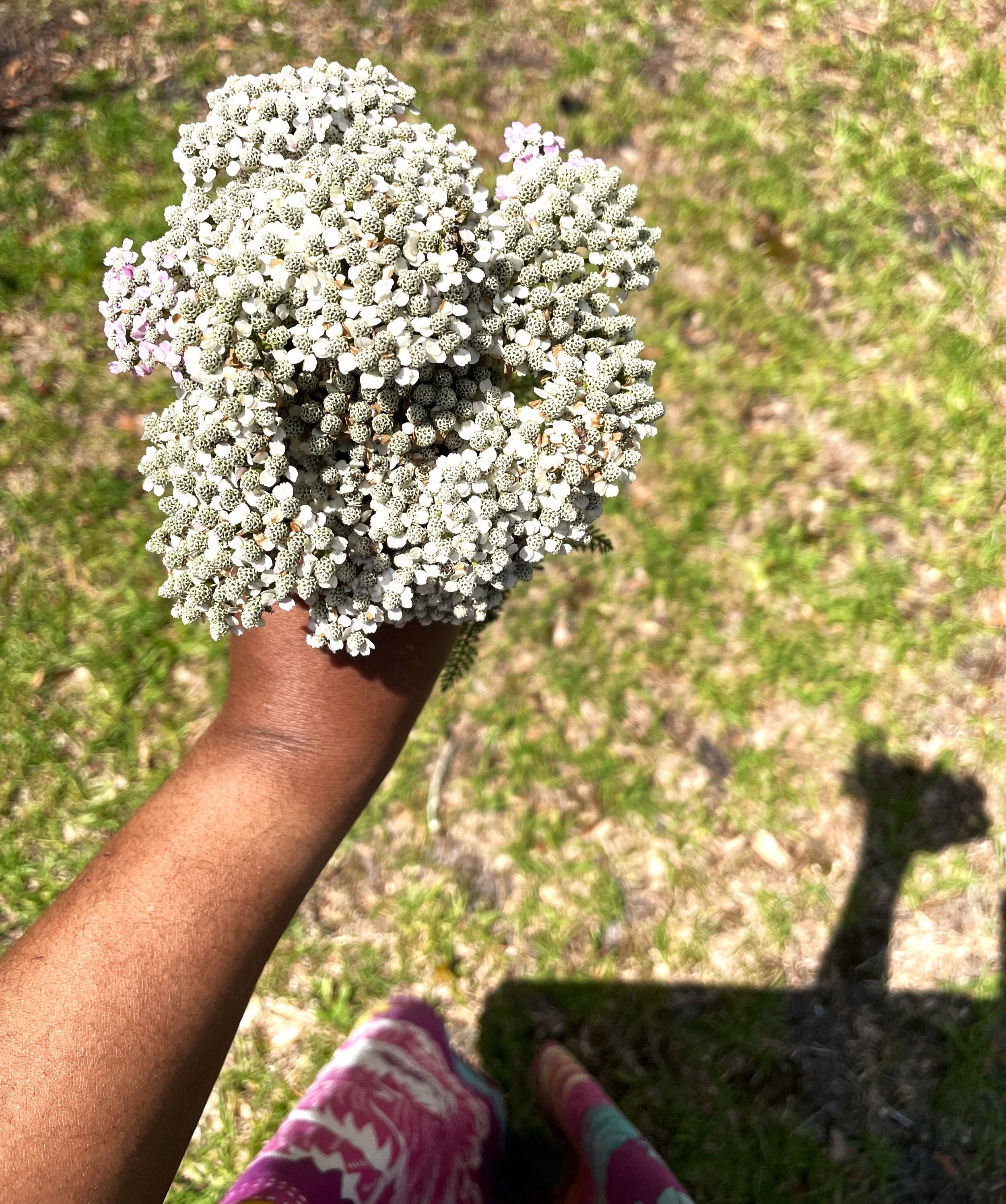 Trusting Our Way-knowing and Those Who Walk With Us