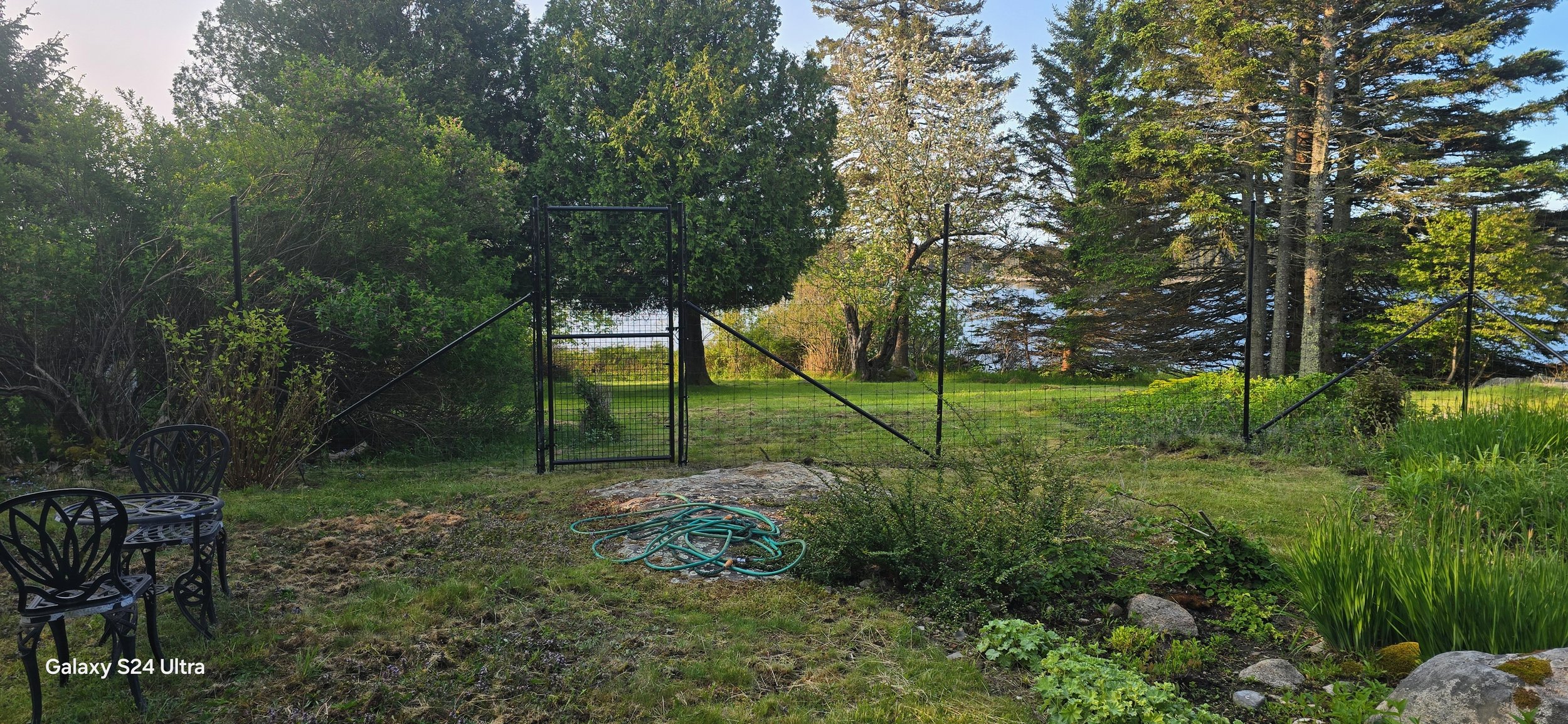 8' black on black steel deer fence with 4' wide walk gate (DF3)