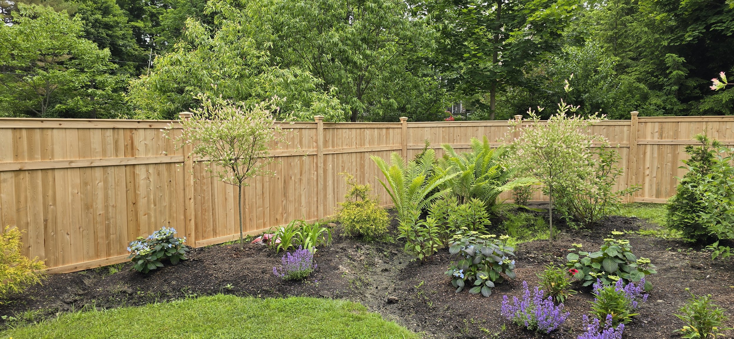 Good Neighbor cedar #2 panel (C34)