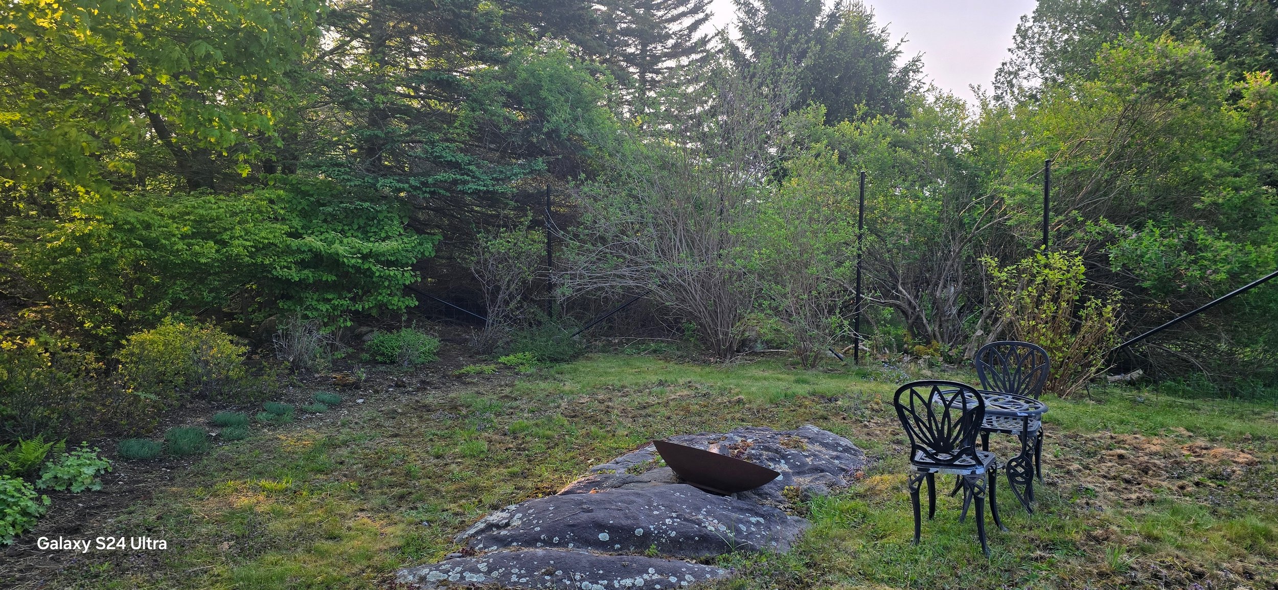 black on black steel deer fence disappears into the landscape (DF3)